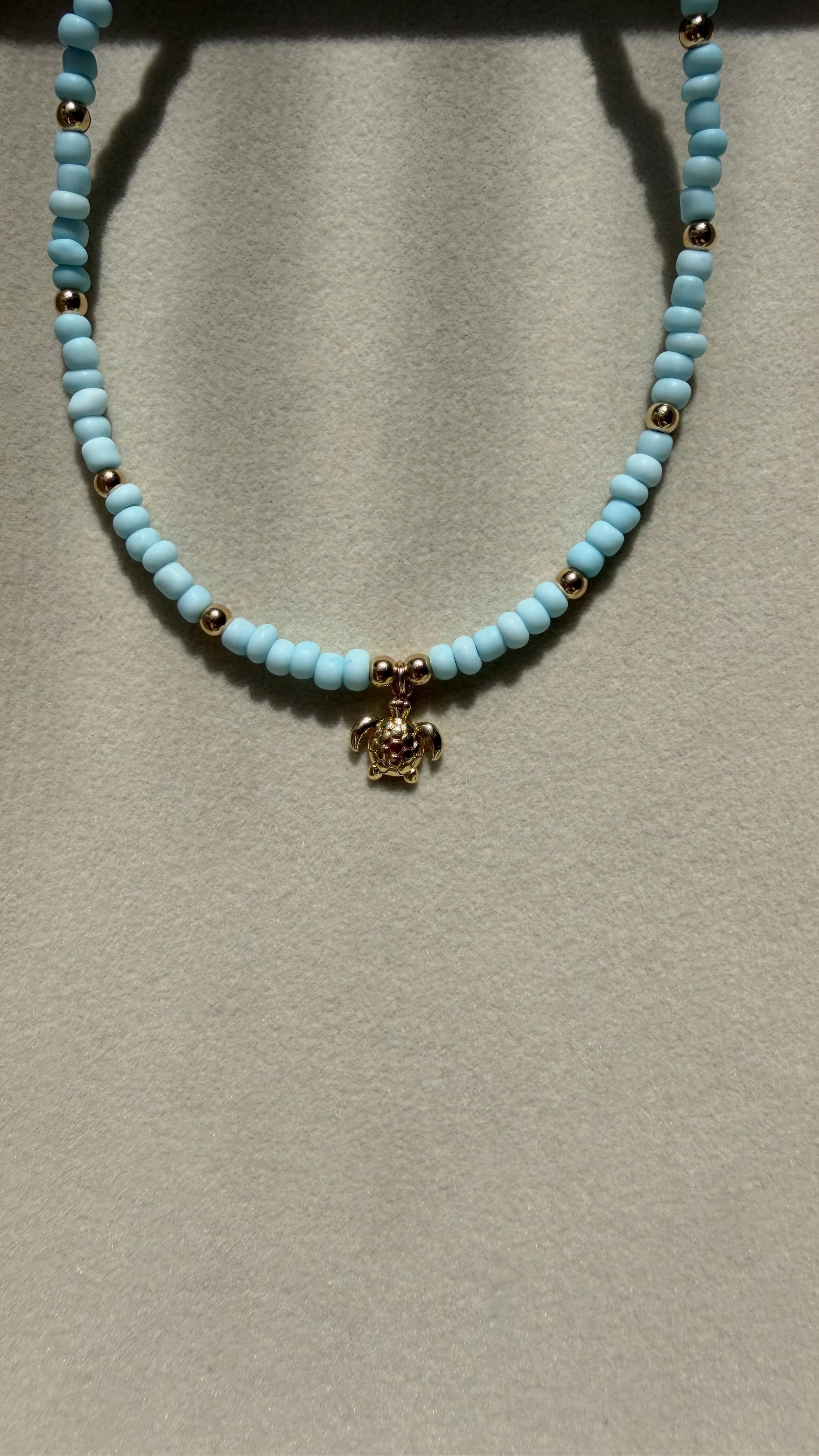 Sky Blue Turtle