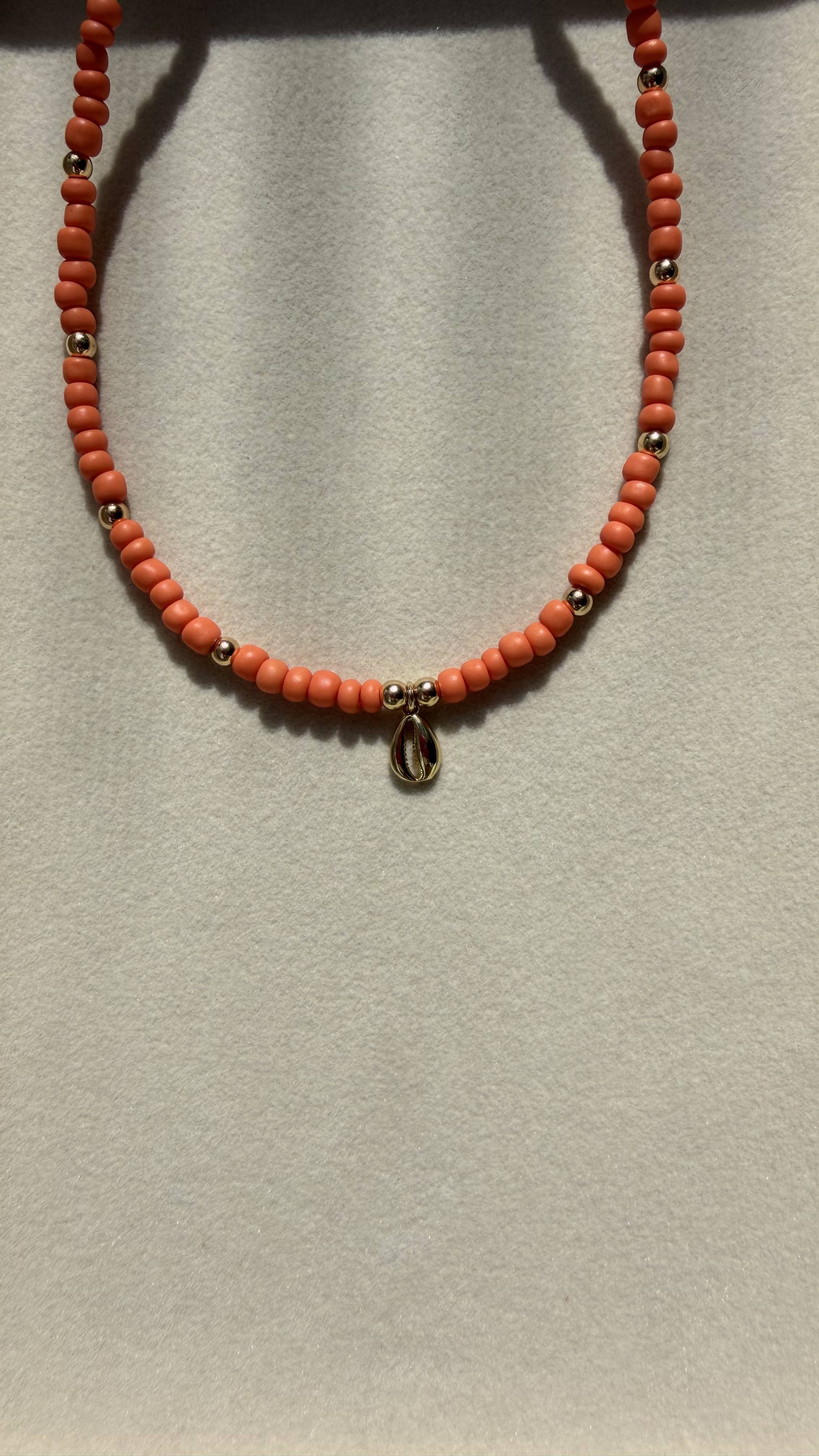 Orange Cowry Shell