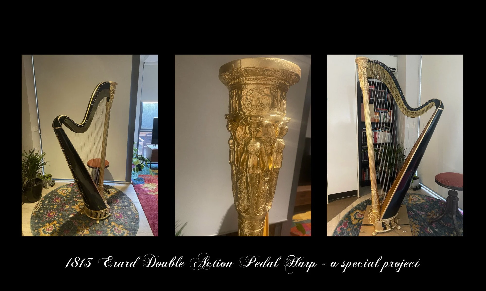 Photograph of a gold-painted double action pedal harp with ornate carvings, shown from both sides and a close-up of the top. It sits on a round floral rug in a room with a plant and a small stool. Text reads: '1813 Erard Double Action Pedal Harp - a special project'.
