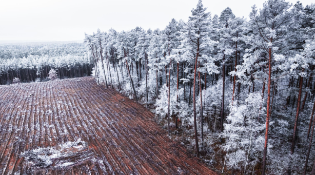 Composite Mats for Forestry, Environmental, and Conservation Work