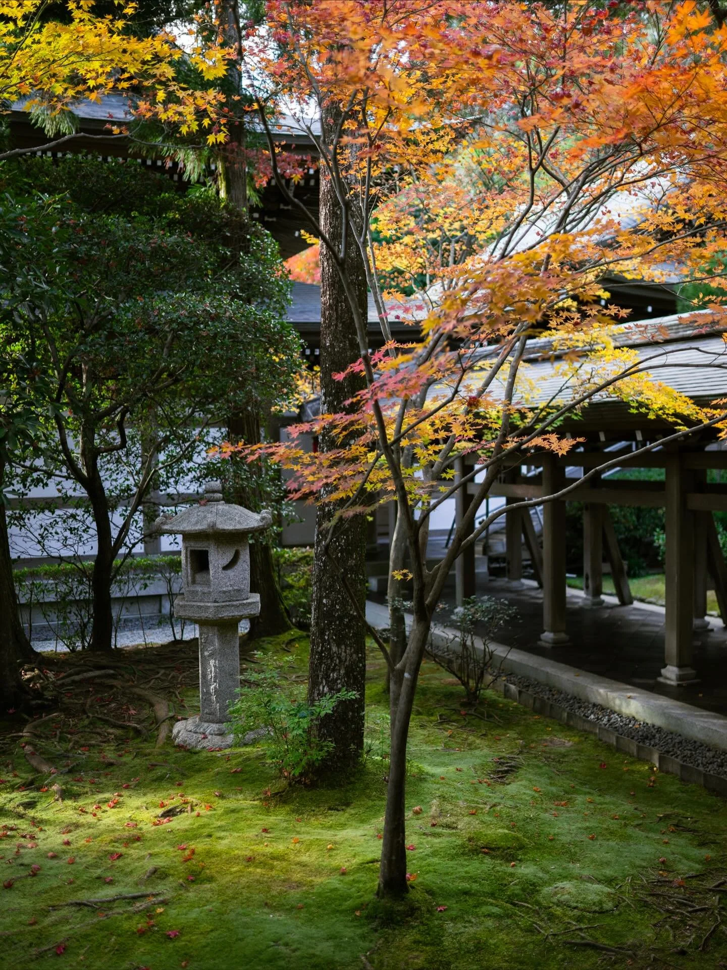 Feeling the stillness of autumn 🇯🇵🍁🍂 

=========================
#紅葉 #日本の秋 #秋 #fall #autum #autumninjapan #japanautumn #unknownjapan #photographerinjapan #japancountryside #日本の景色 #my_eos_photo #madewithlightroom #jalan_travel #visitjapan #1x_japa