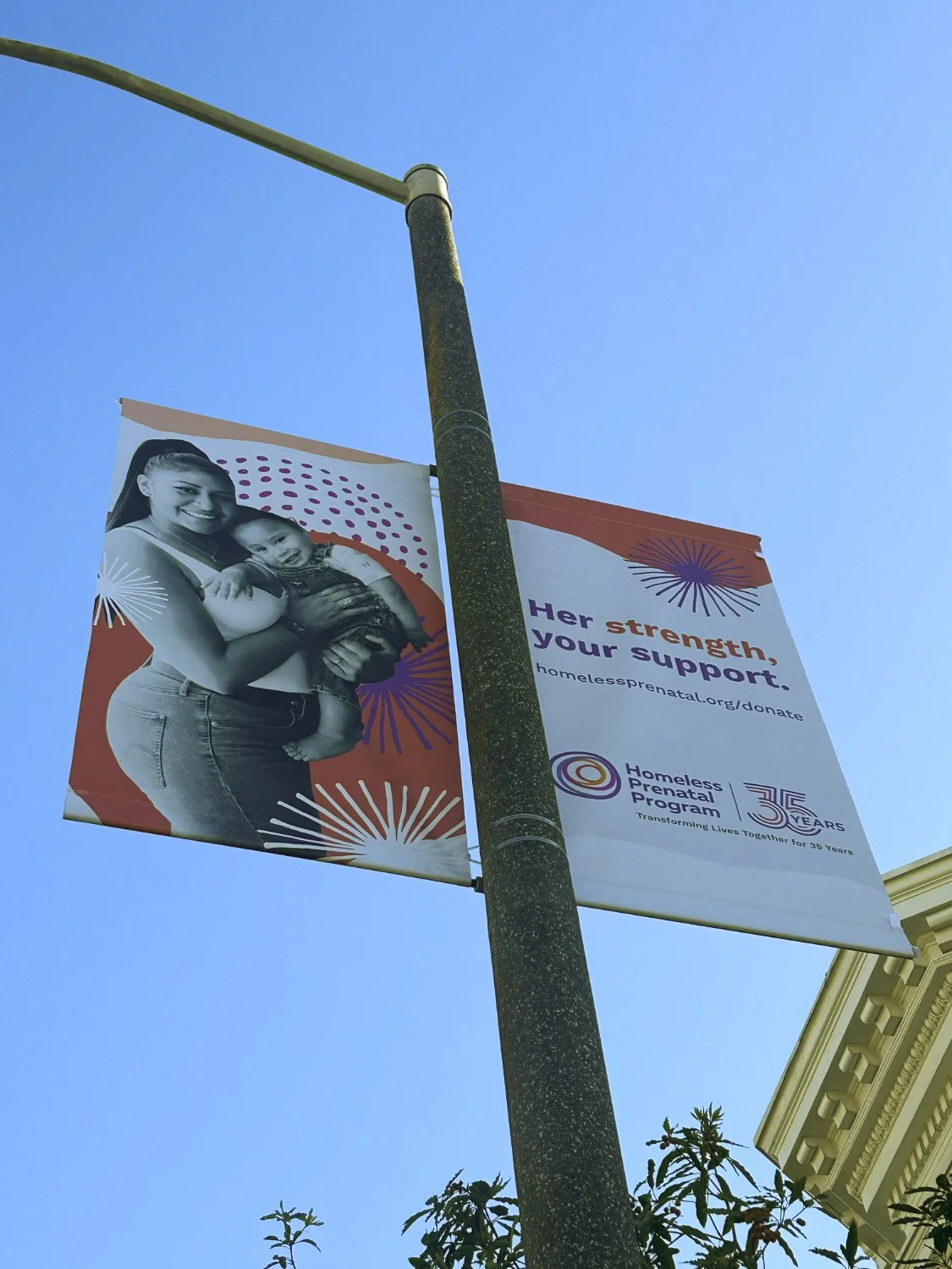 HPP-Infinita-Channel-35-years.jpg