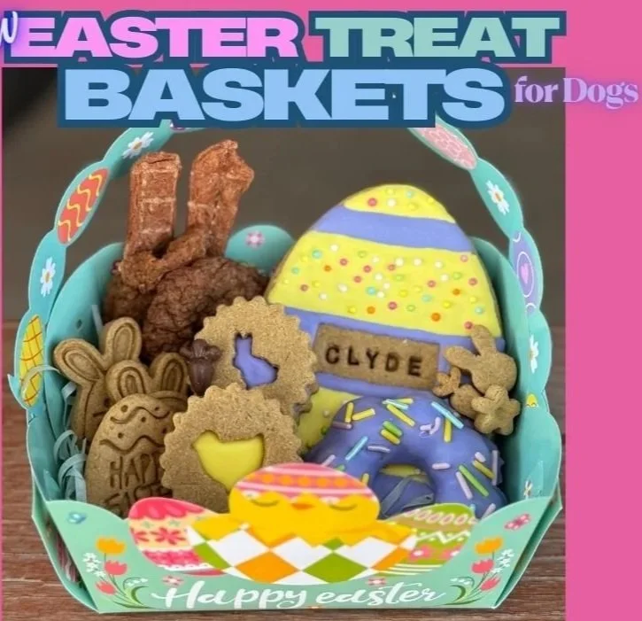 Holiday/Birthday Box for Dogs