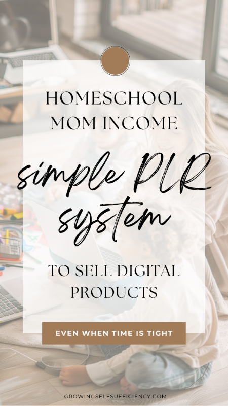 Homeschool Mom Income: My Simple PLR System for Selling Digital Products (Even When Time Is Tight)