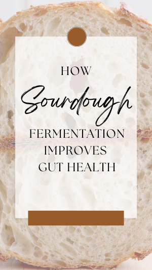 How Sourdough Fermentation Improves Gut Health