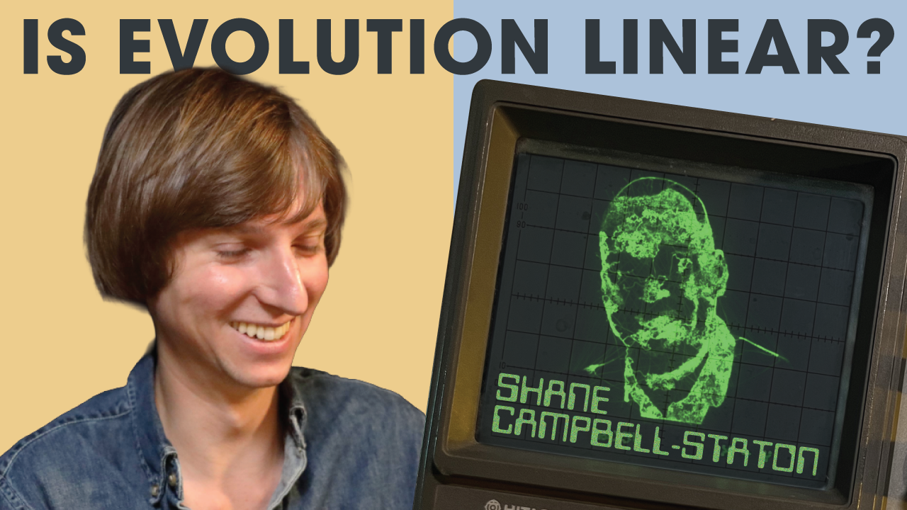 Is Evolution Linear? | Biologist Shane Campbell-Staton