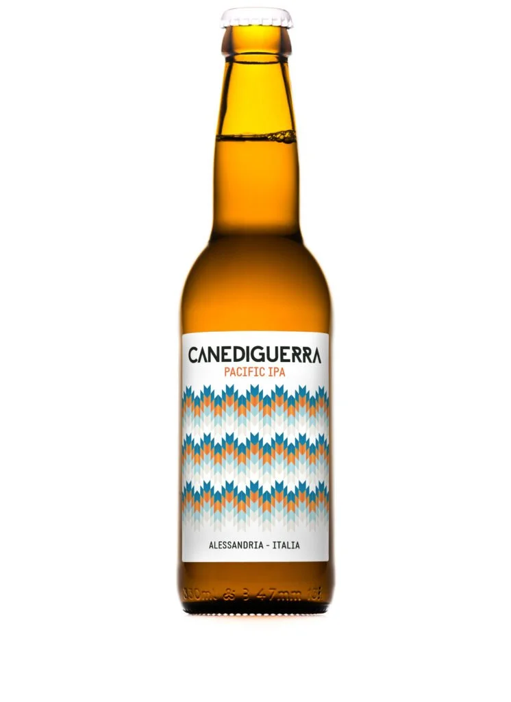 pacific-ipa-homepage_marzo2022-746x1024.jpg