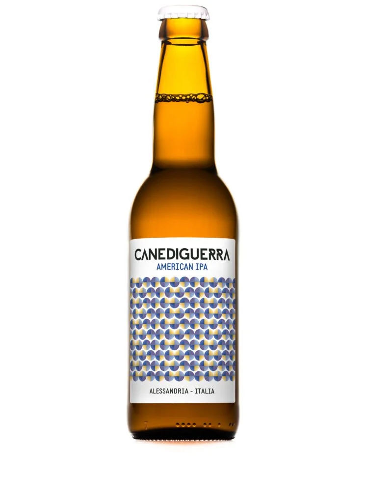 american-ipa-homepage_marzo2022-746x1024.jpg