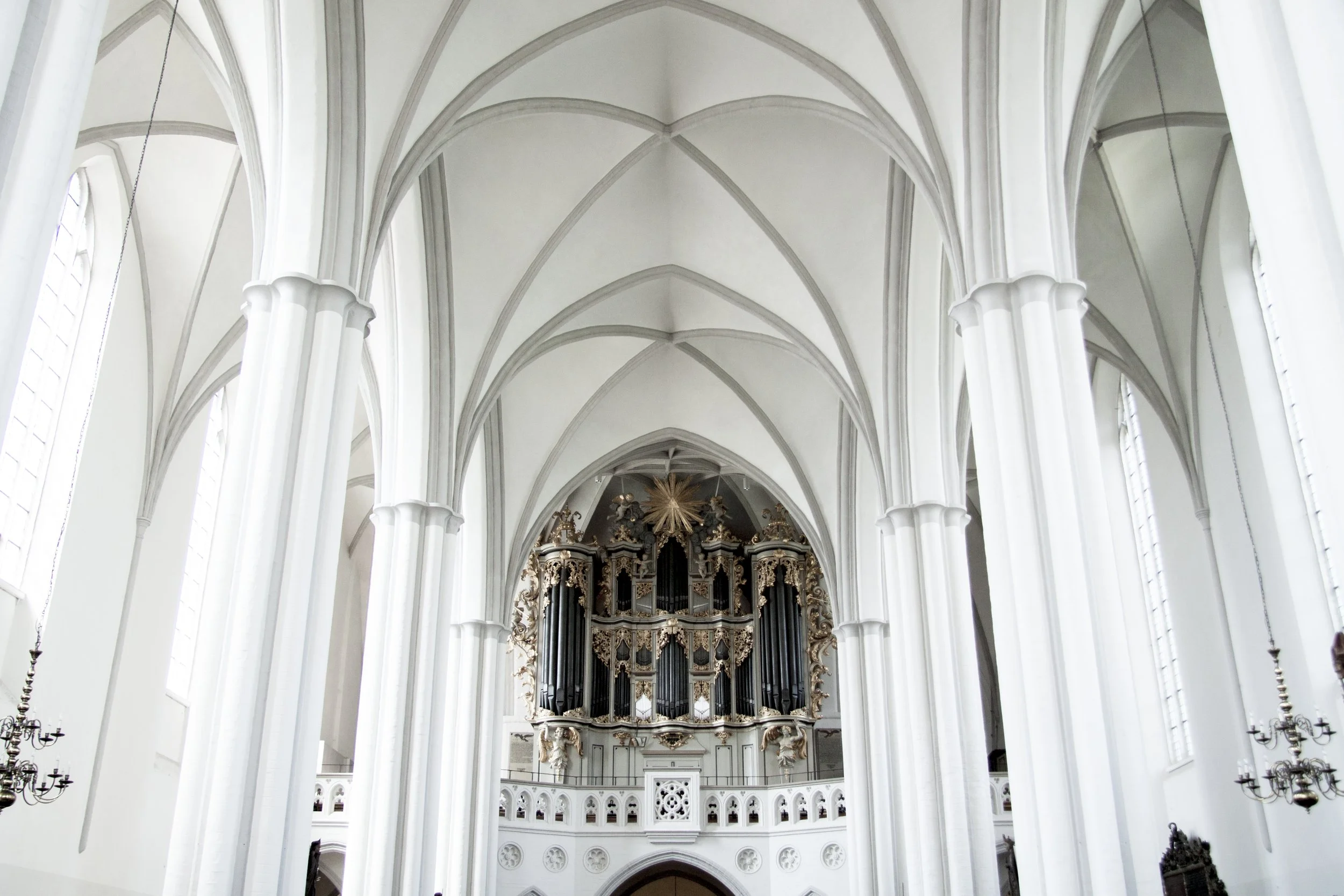 _MG_7618.jpg