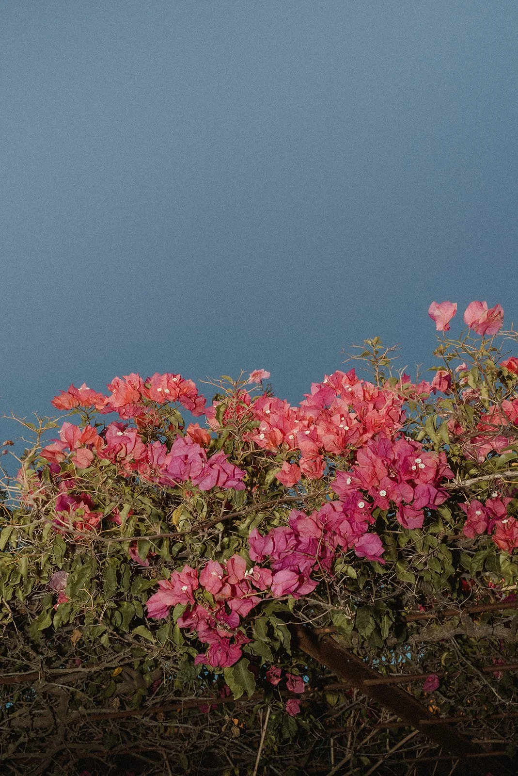 Sunset pre-wedding welcome party at Raco Ibiza, destination wedding weekend