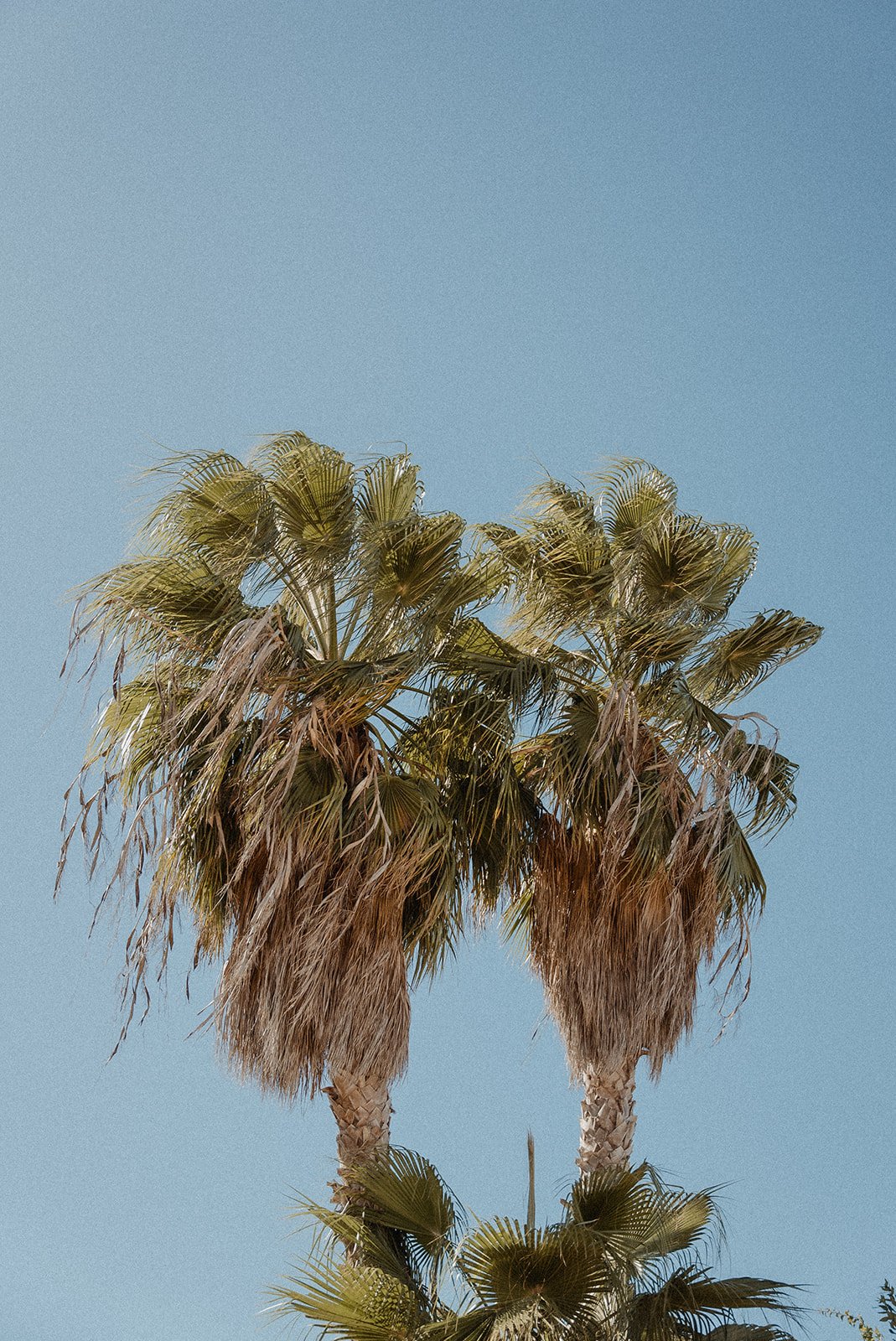 Traditional Chinese tea ceremony at luxury Ibiza wedding