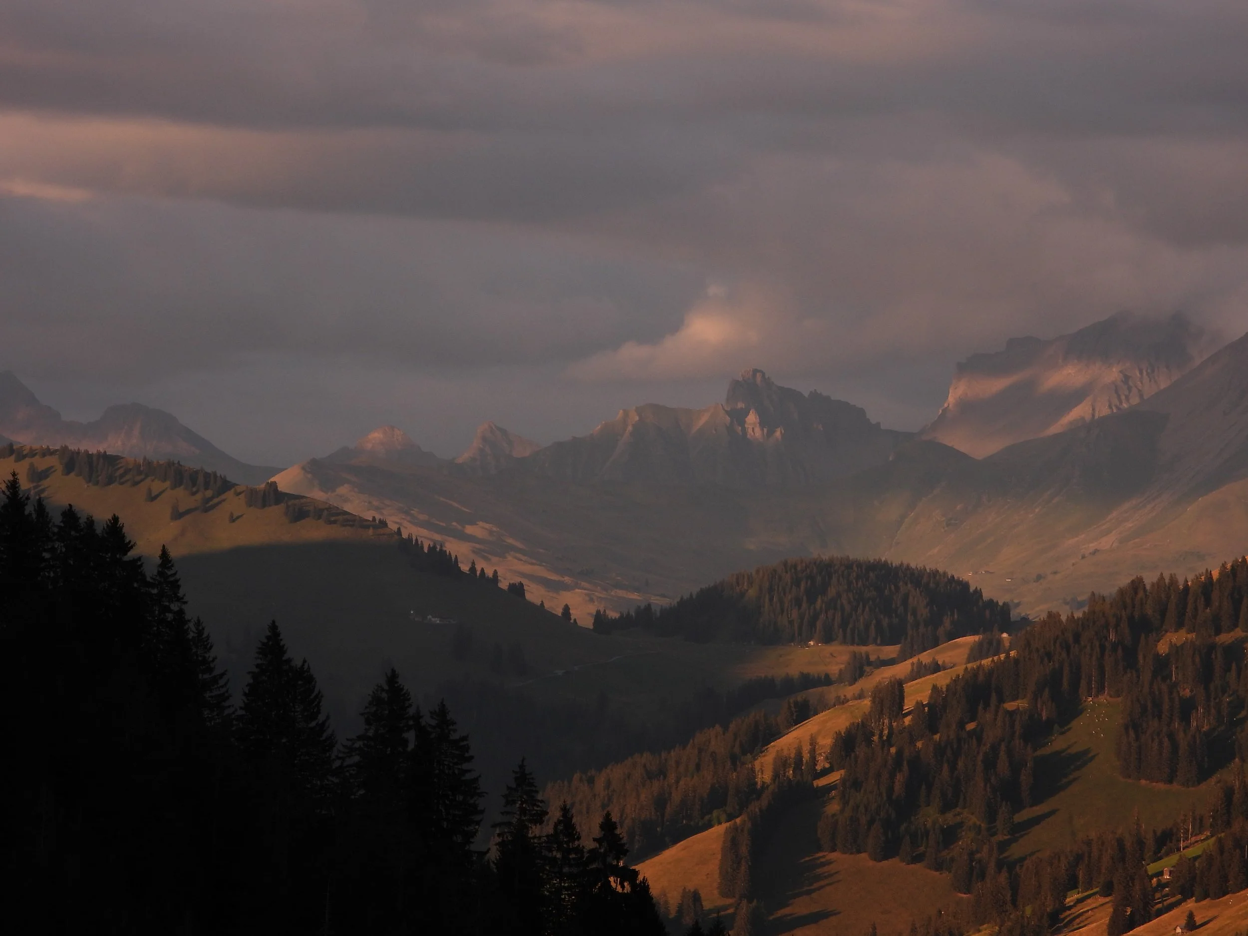 DSCN3356.JPG