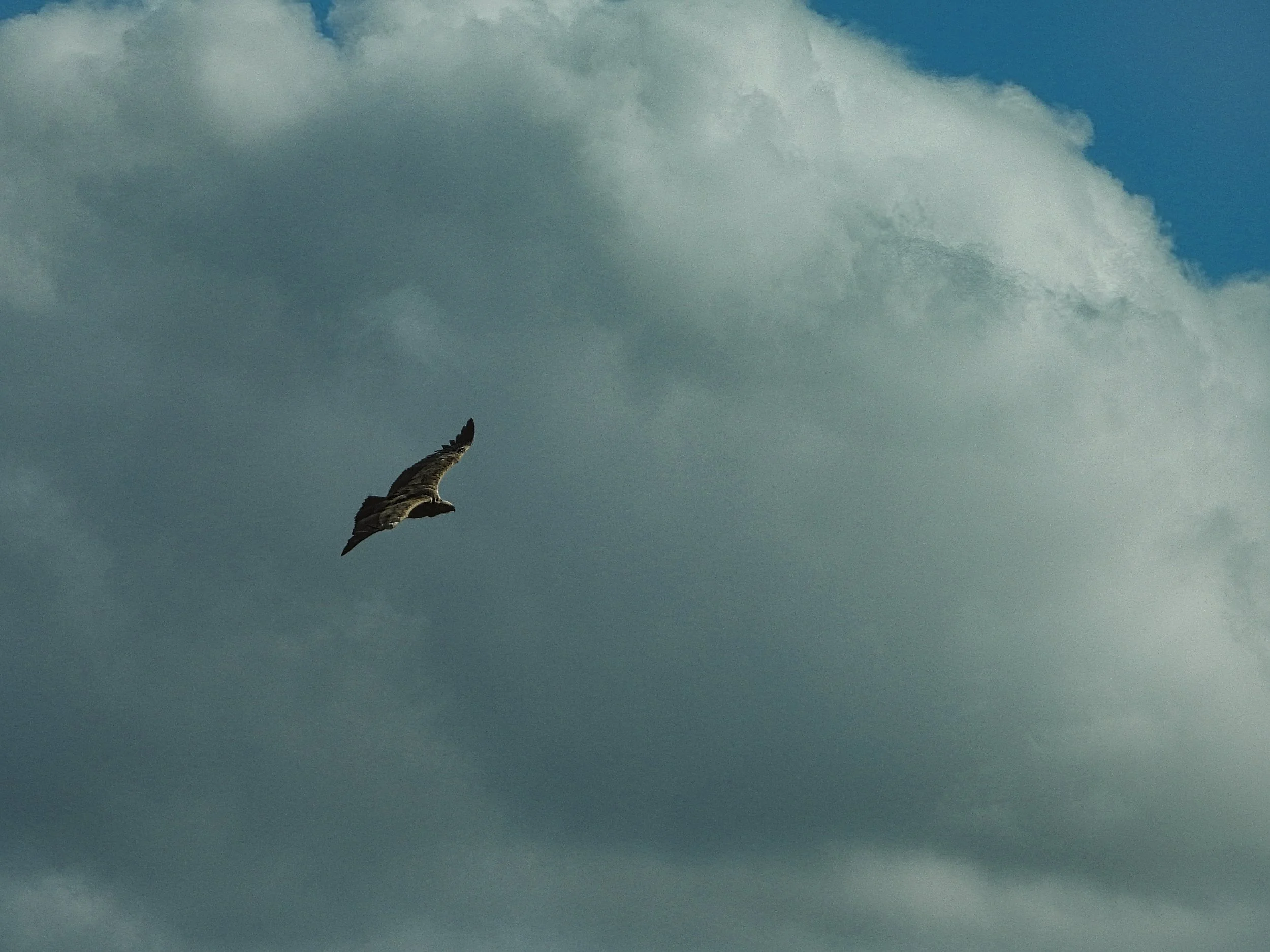 DSCN1471.jpg
