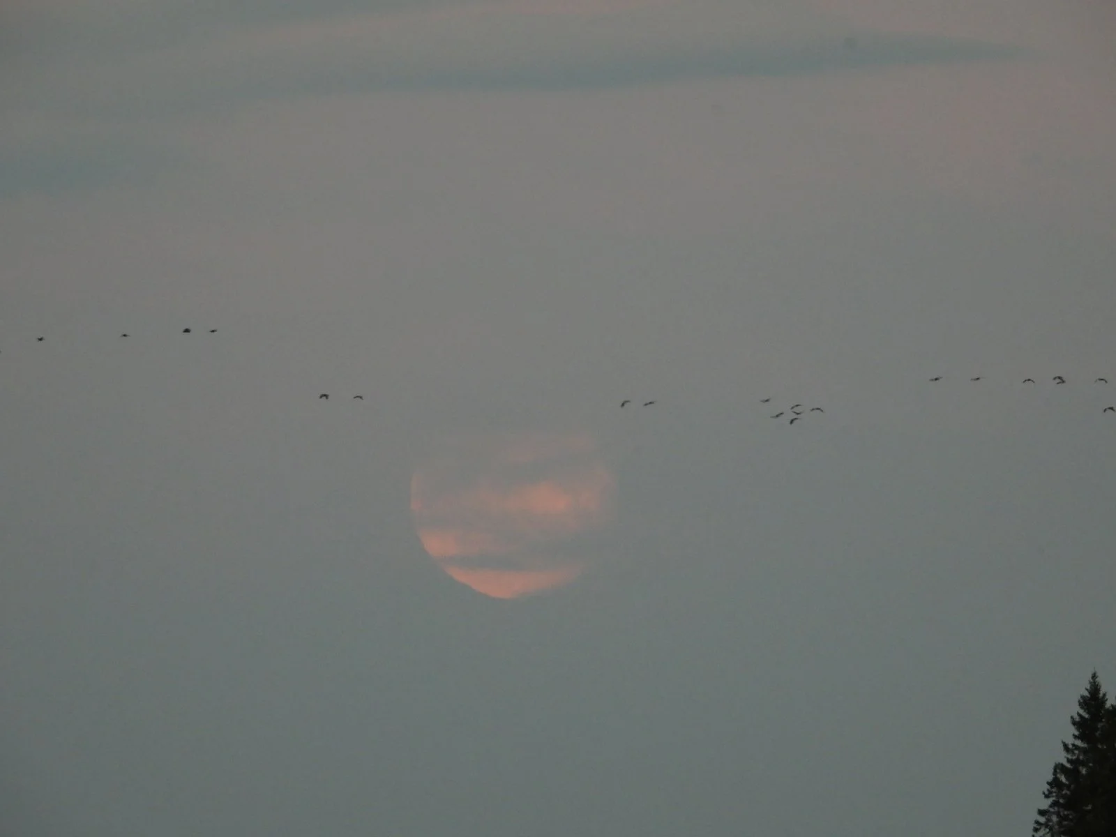 DSCN8755.JPG