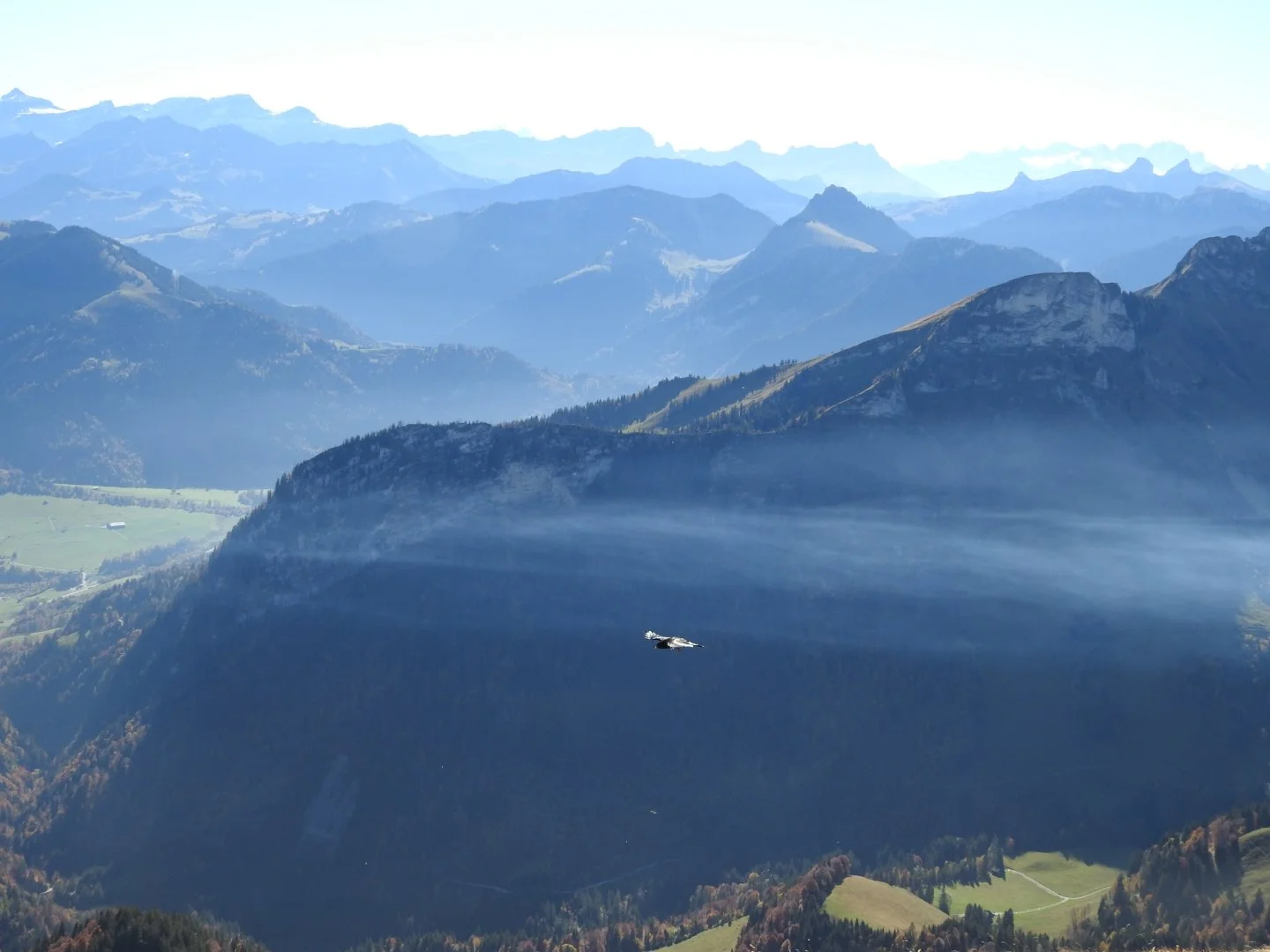 DSCN4043_Gasparde-Grundisch.jpg