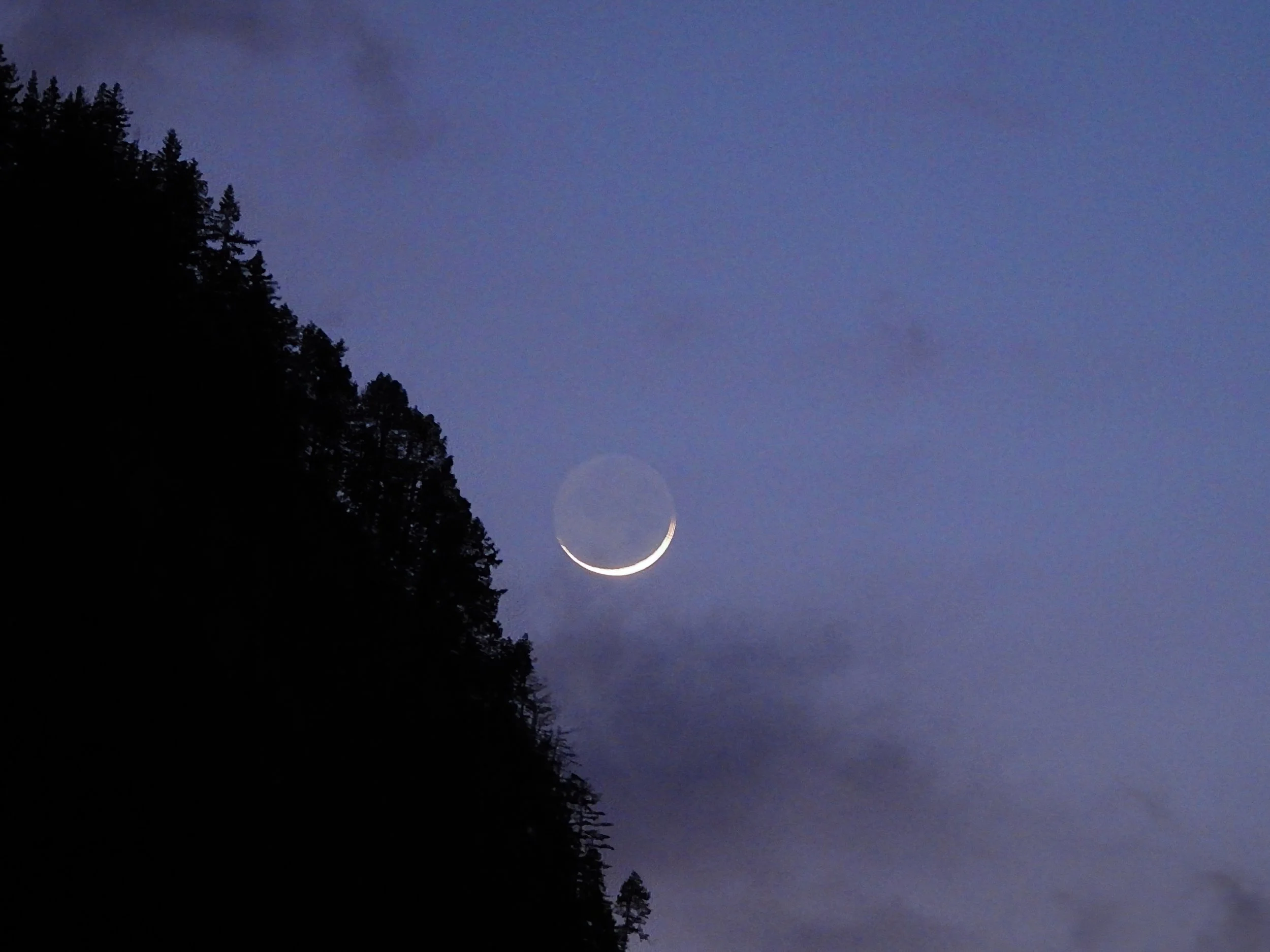 DSCN0835.jpg