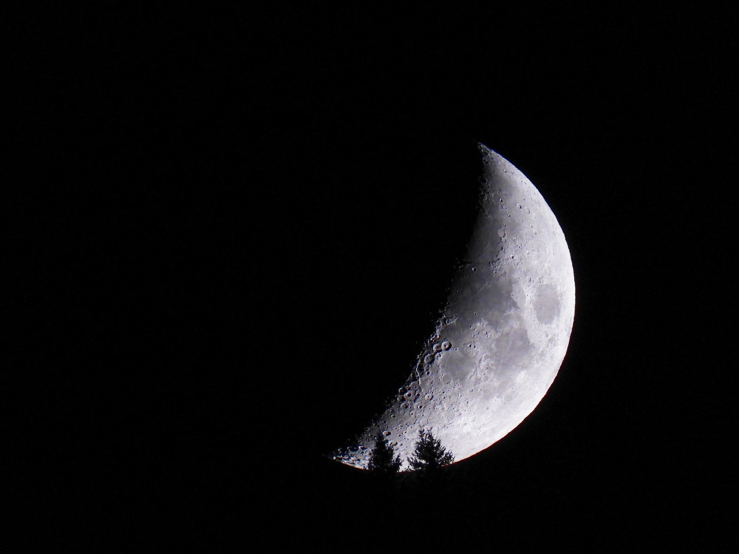 DSCN1071.jpg