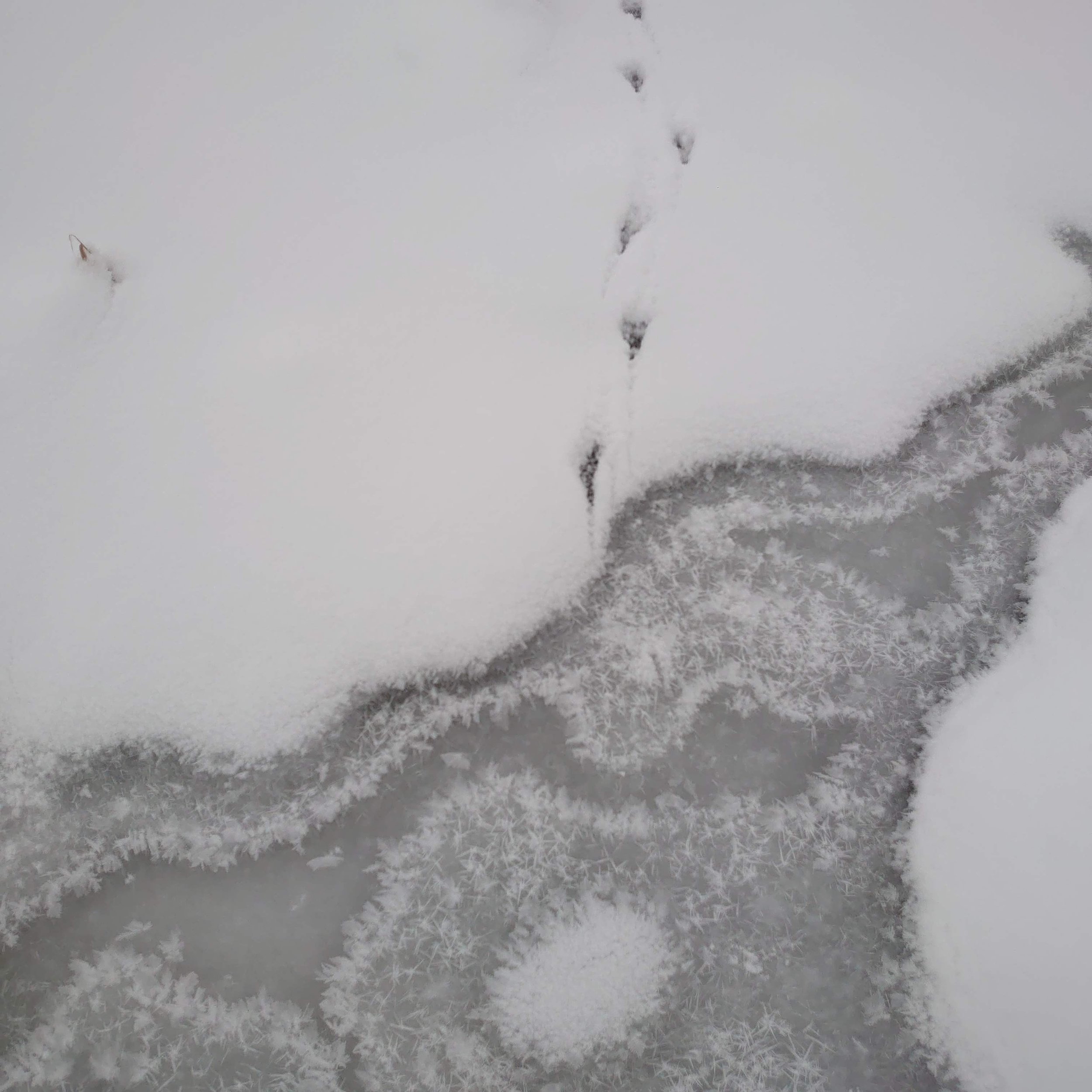 2019_DSC_0697_Gasparde-Grundisch.jpg
