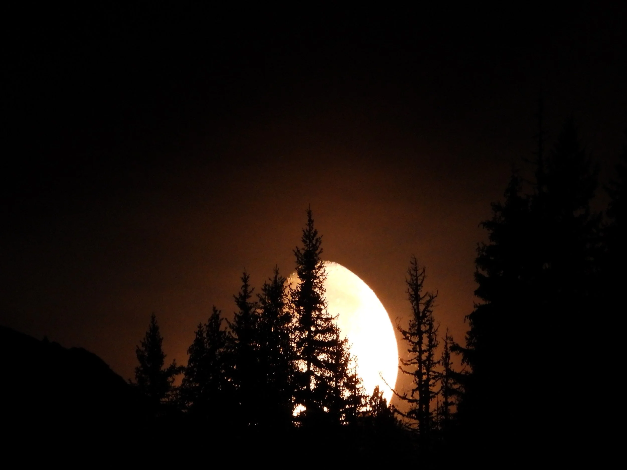 DSCN4170.JPG