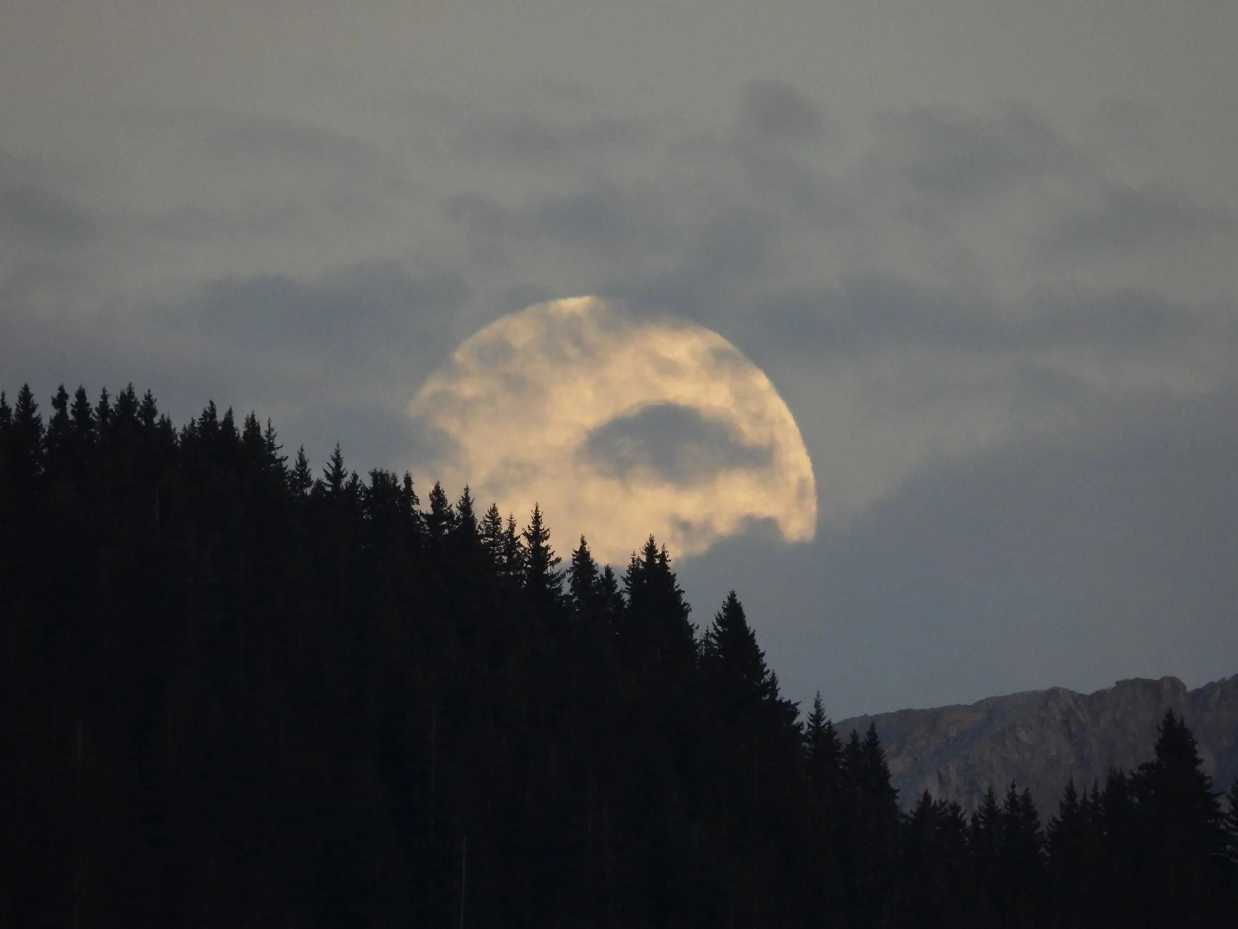 DSCN4206.JPG