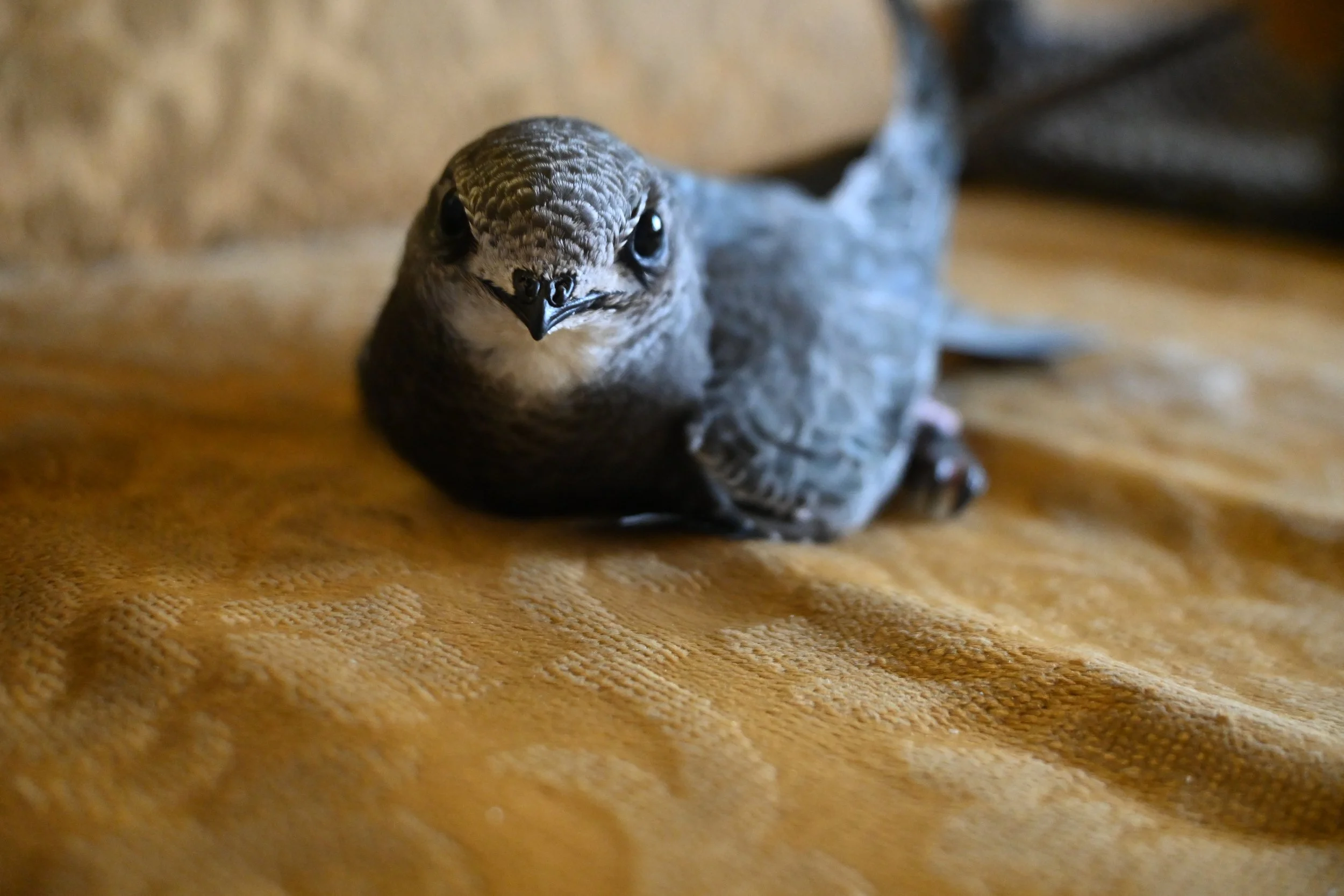 DSC_6135.JPG