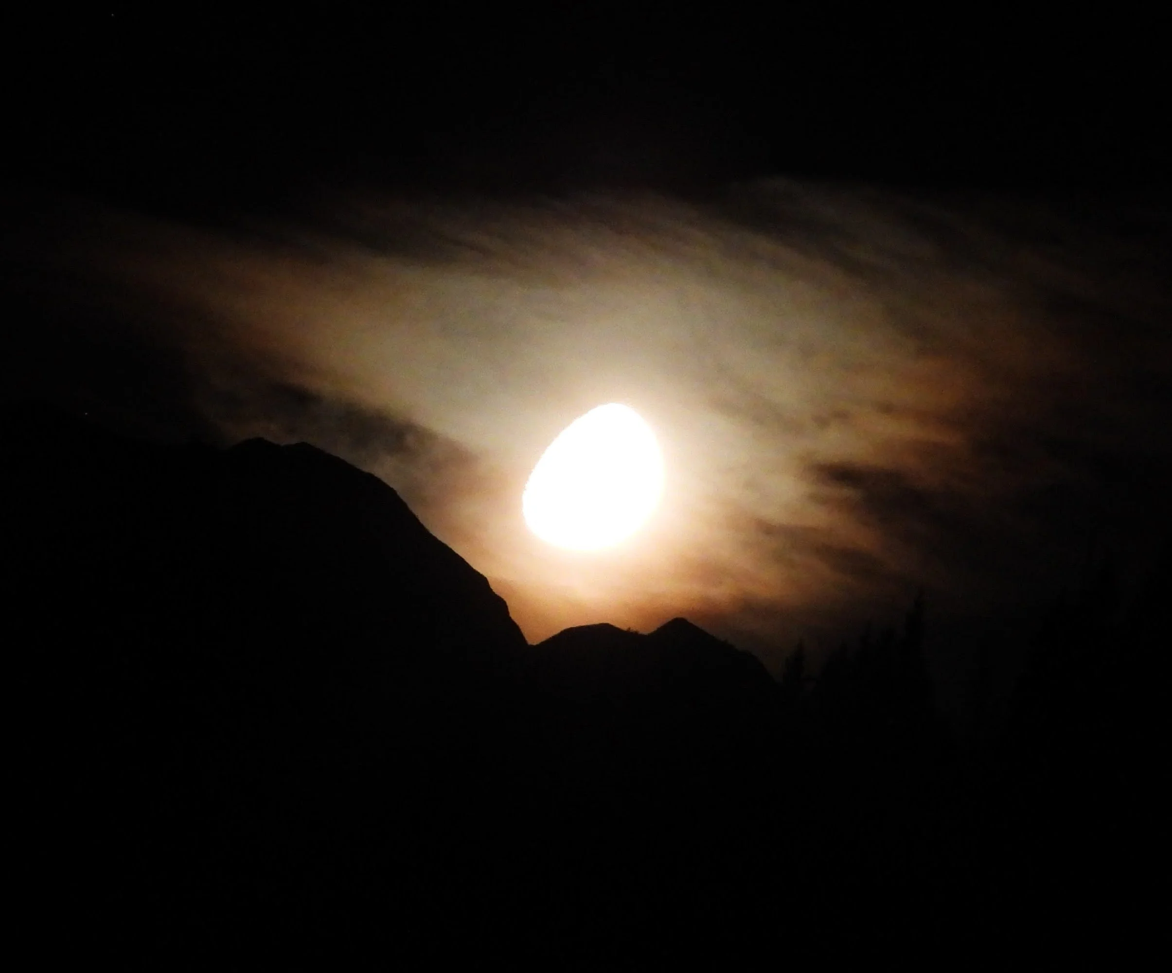 DSCN4130-EDIT.jpg