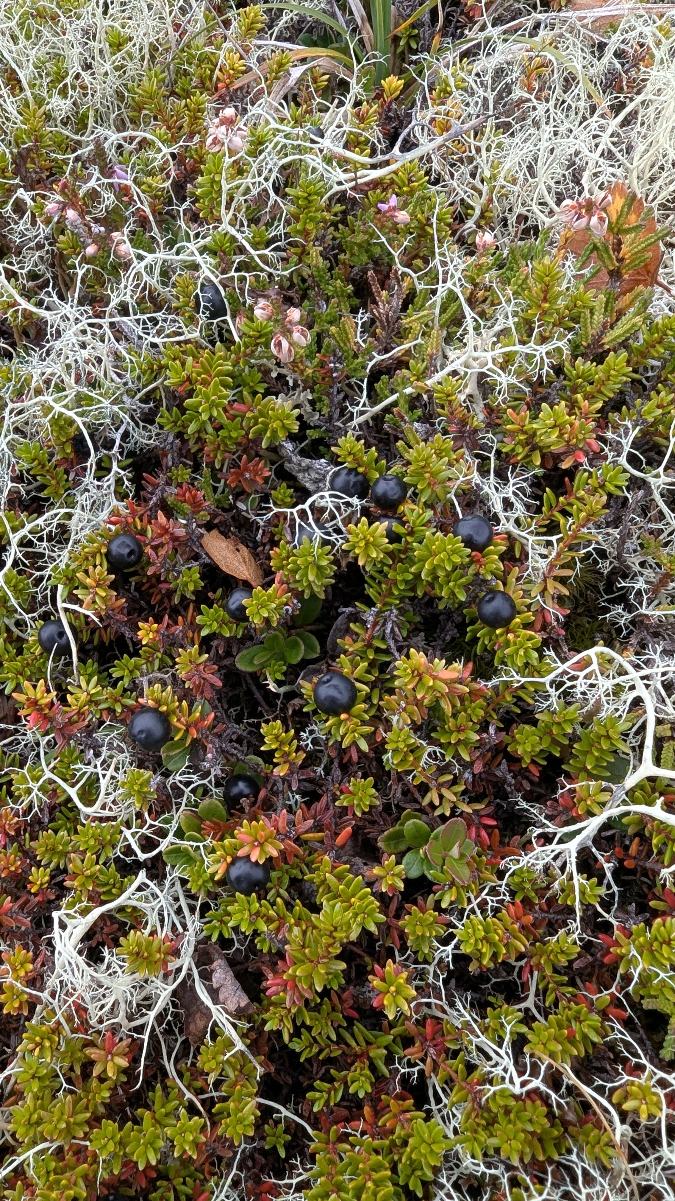 PXL_20250906_112754895.jpg
