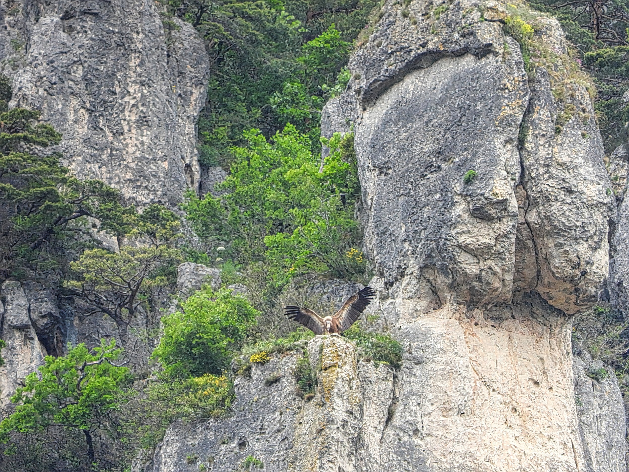 DSCN1941.jpg
