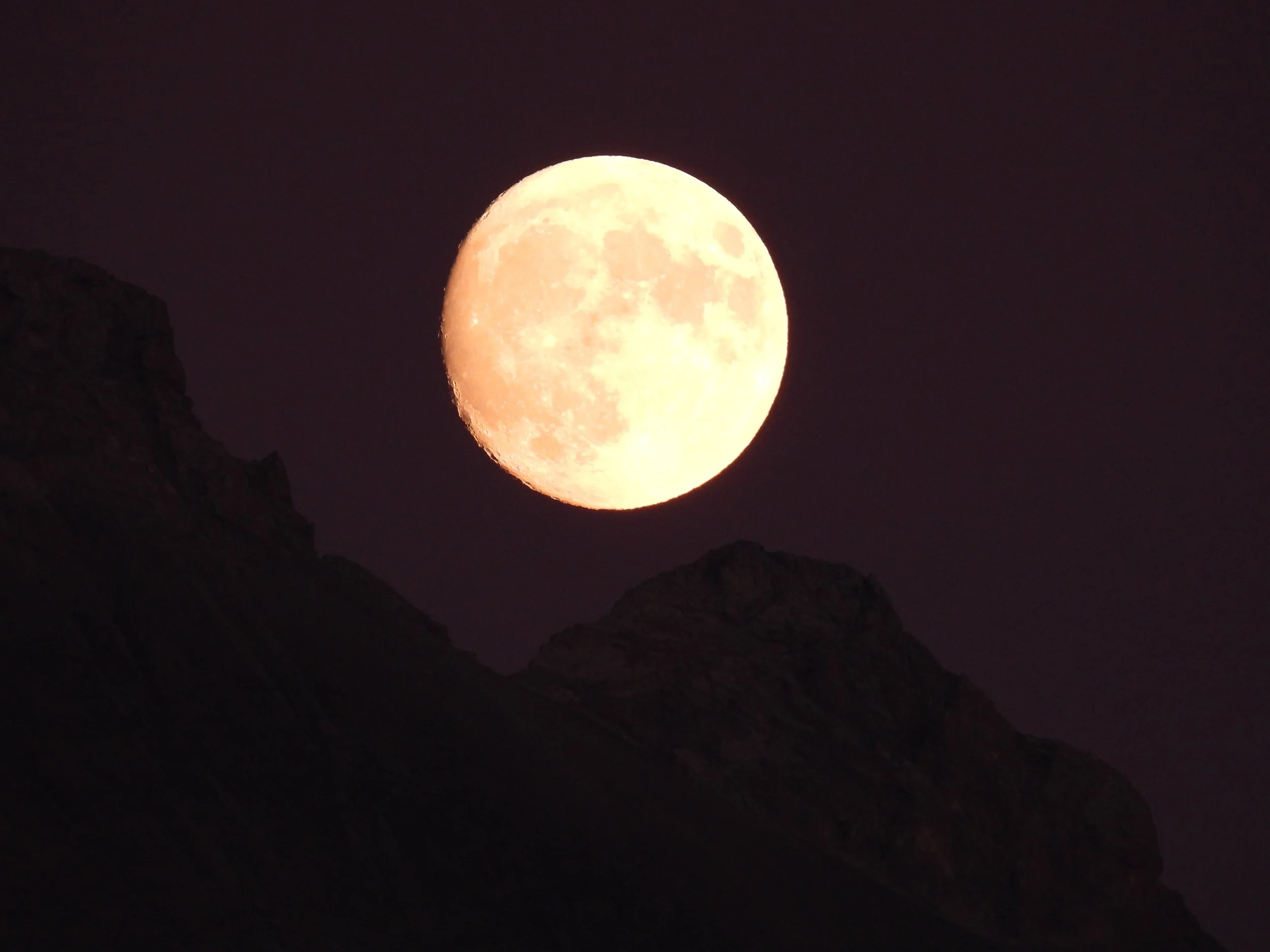 DSCN3468.JPG