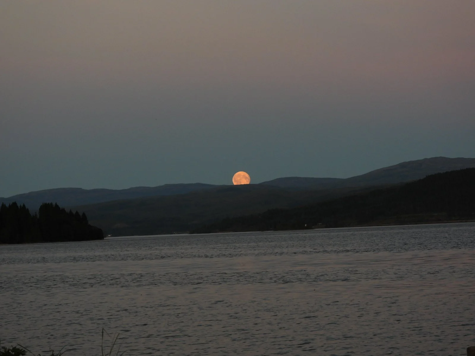 DSCN8586.JPG