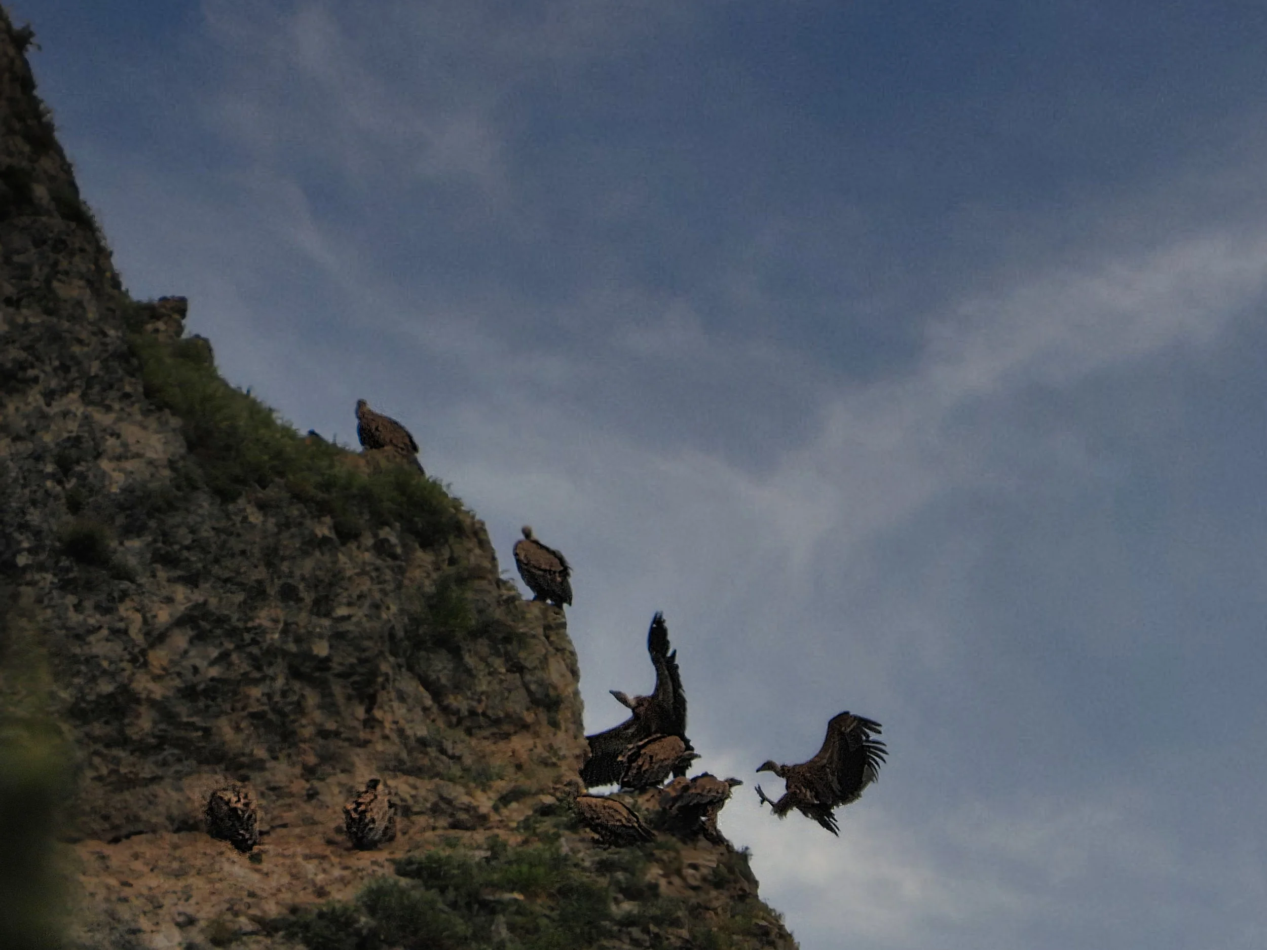 DSCN1826.jpg