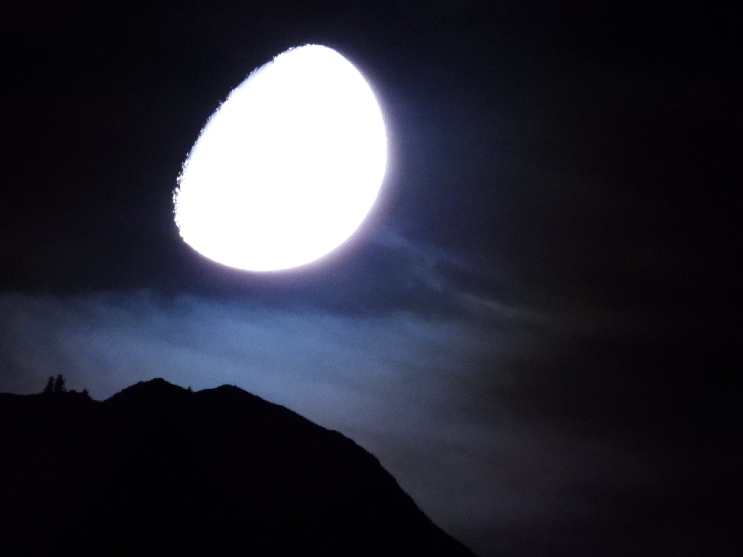 DSCN4113.JPG