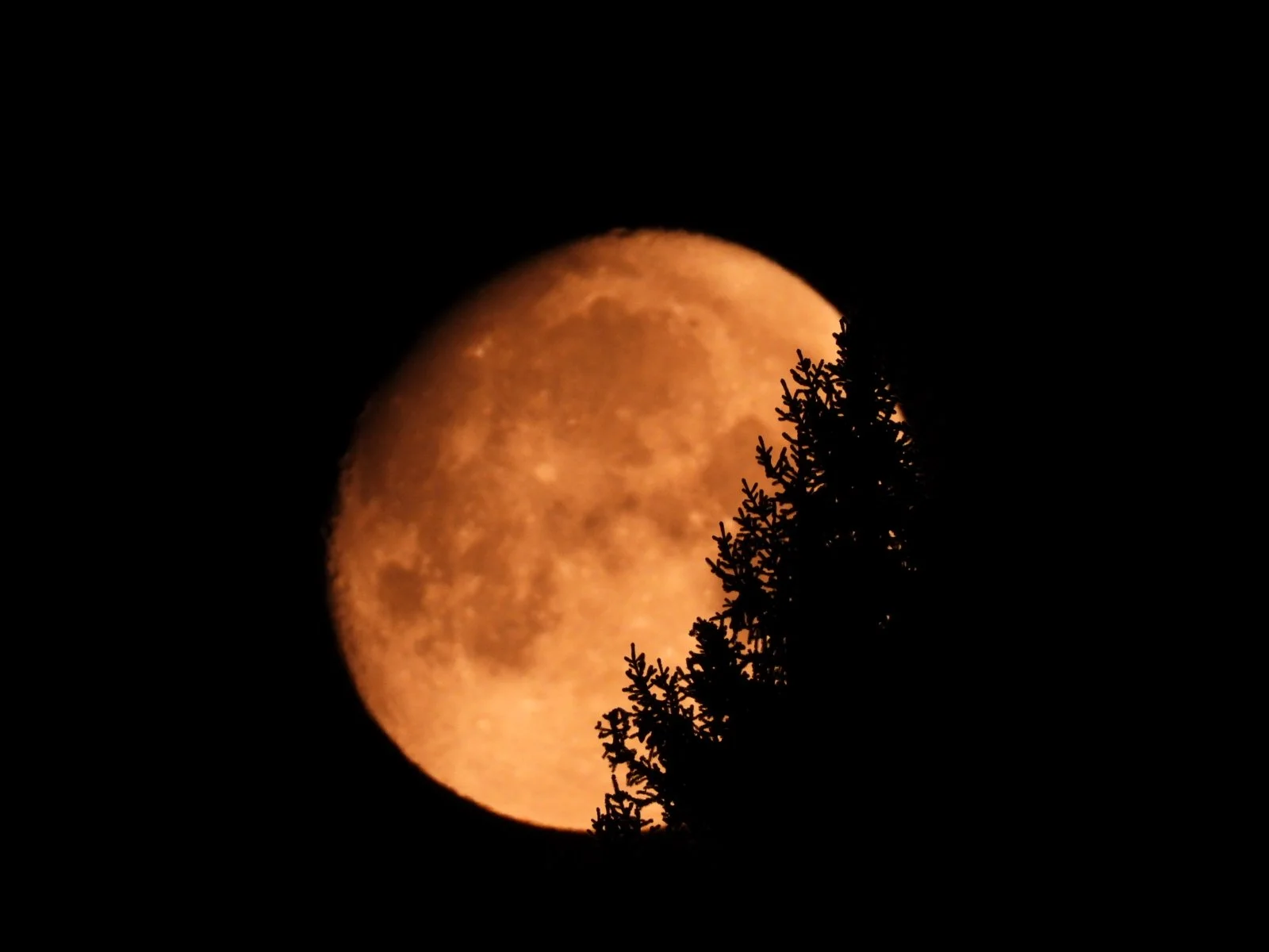 DSCN7970 - Kopie.JPG