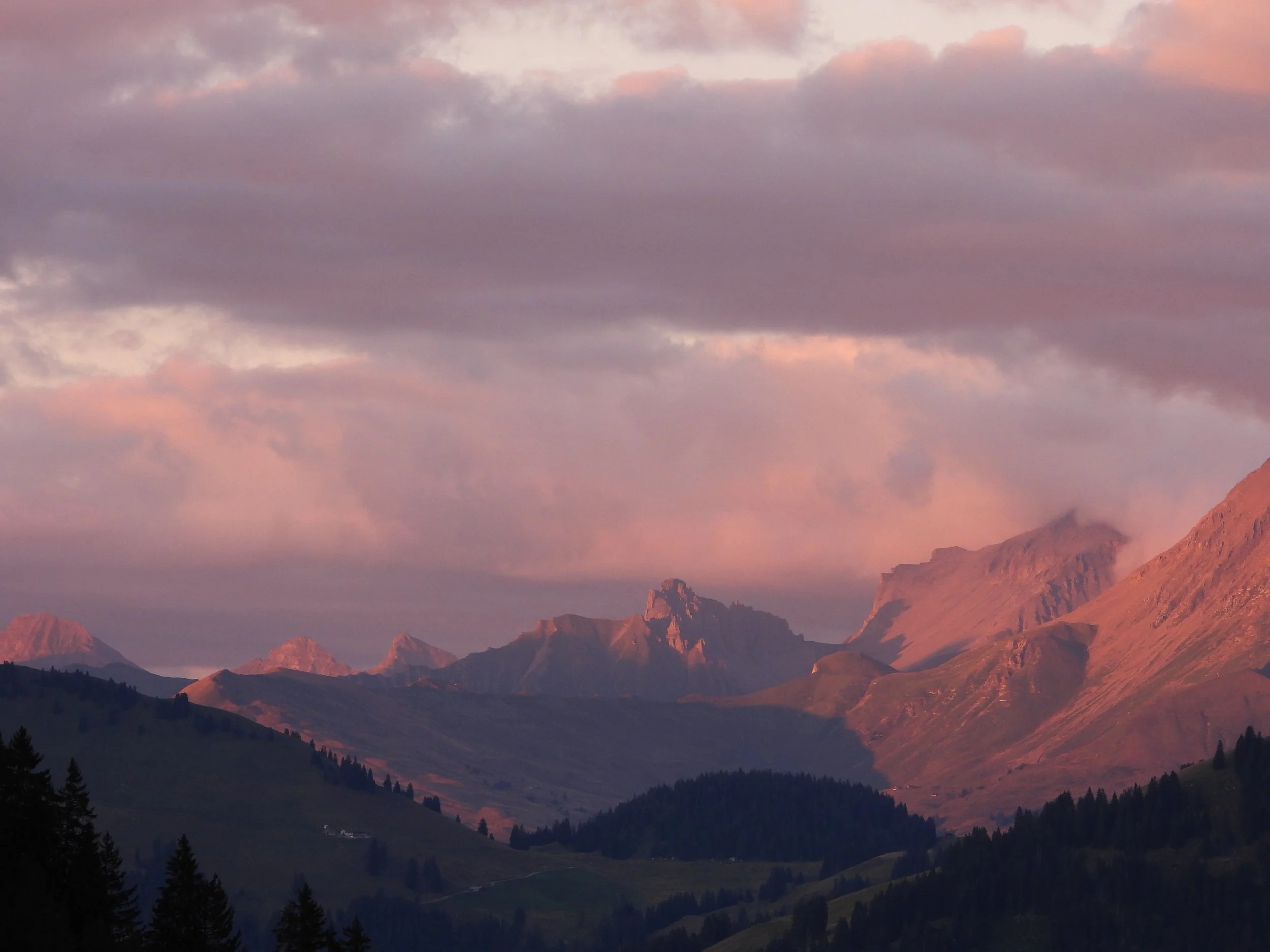 DSCN3403.JPG