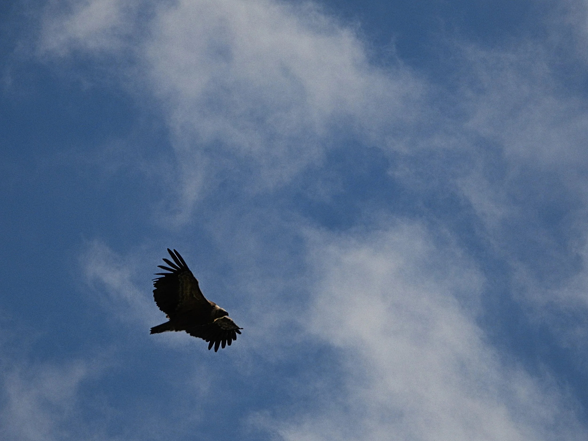 DSCN1492.jpg