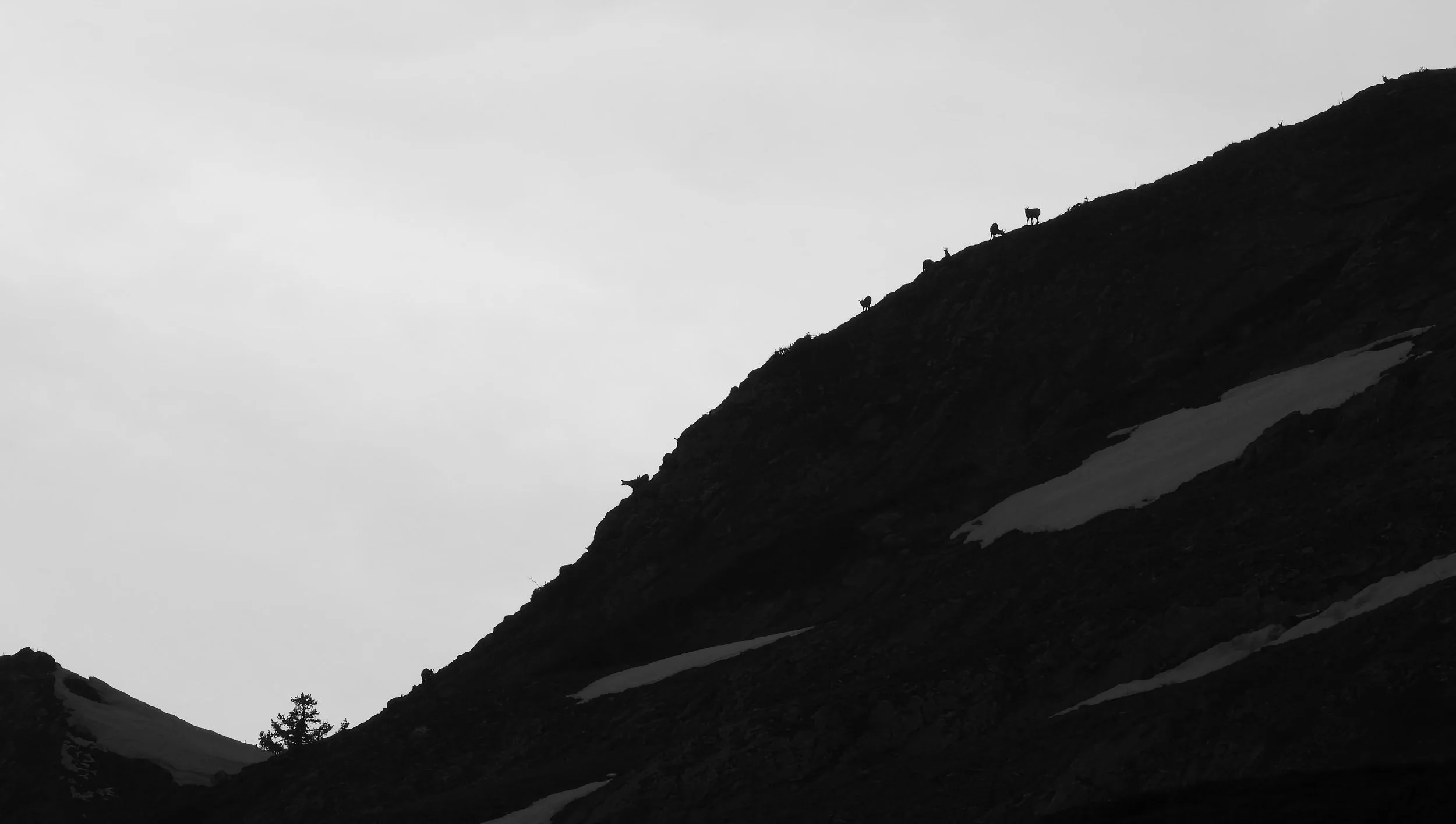 DSCN0805.jpg