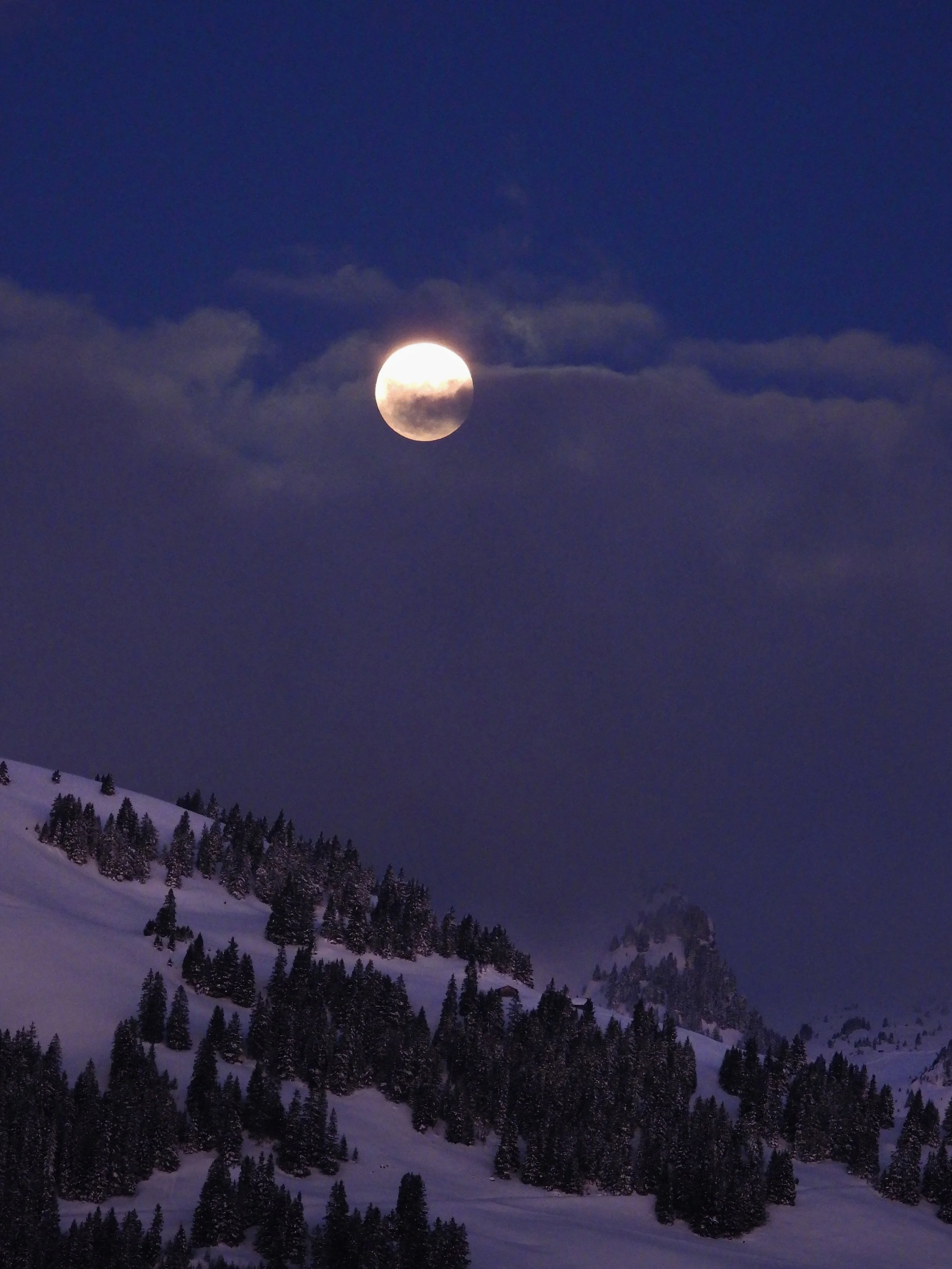 DSCN1005.jpg