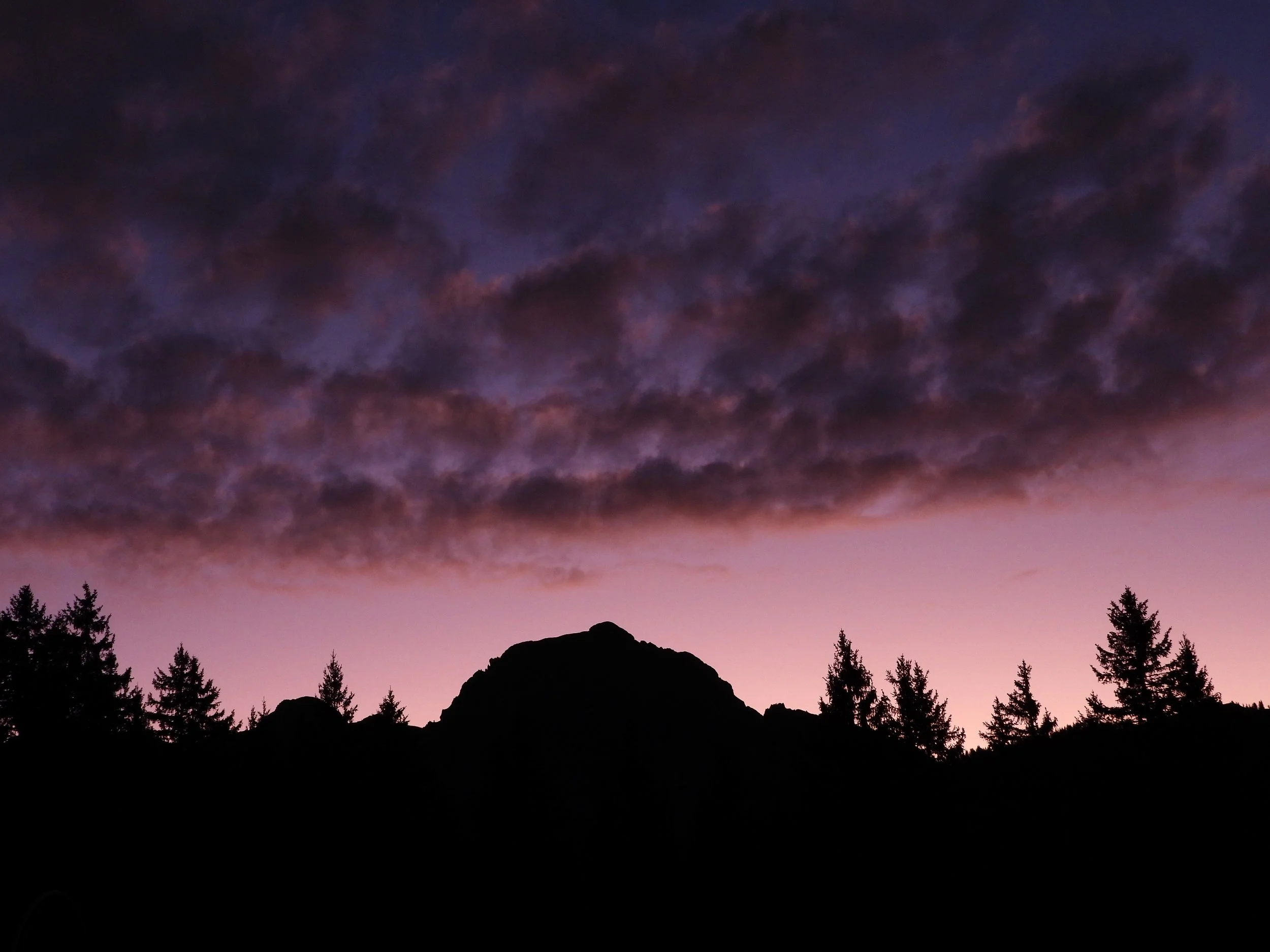 DSCN3520.JPG