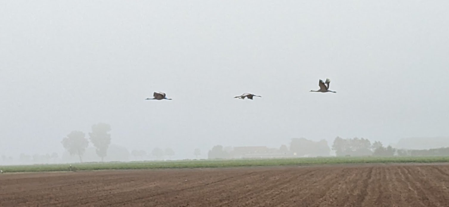 20231023_072859425_Gasparde-Grundisch.jpg