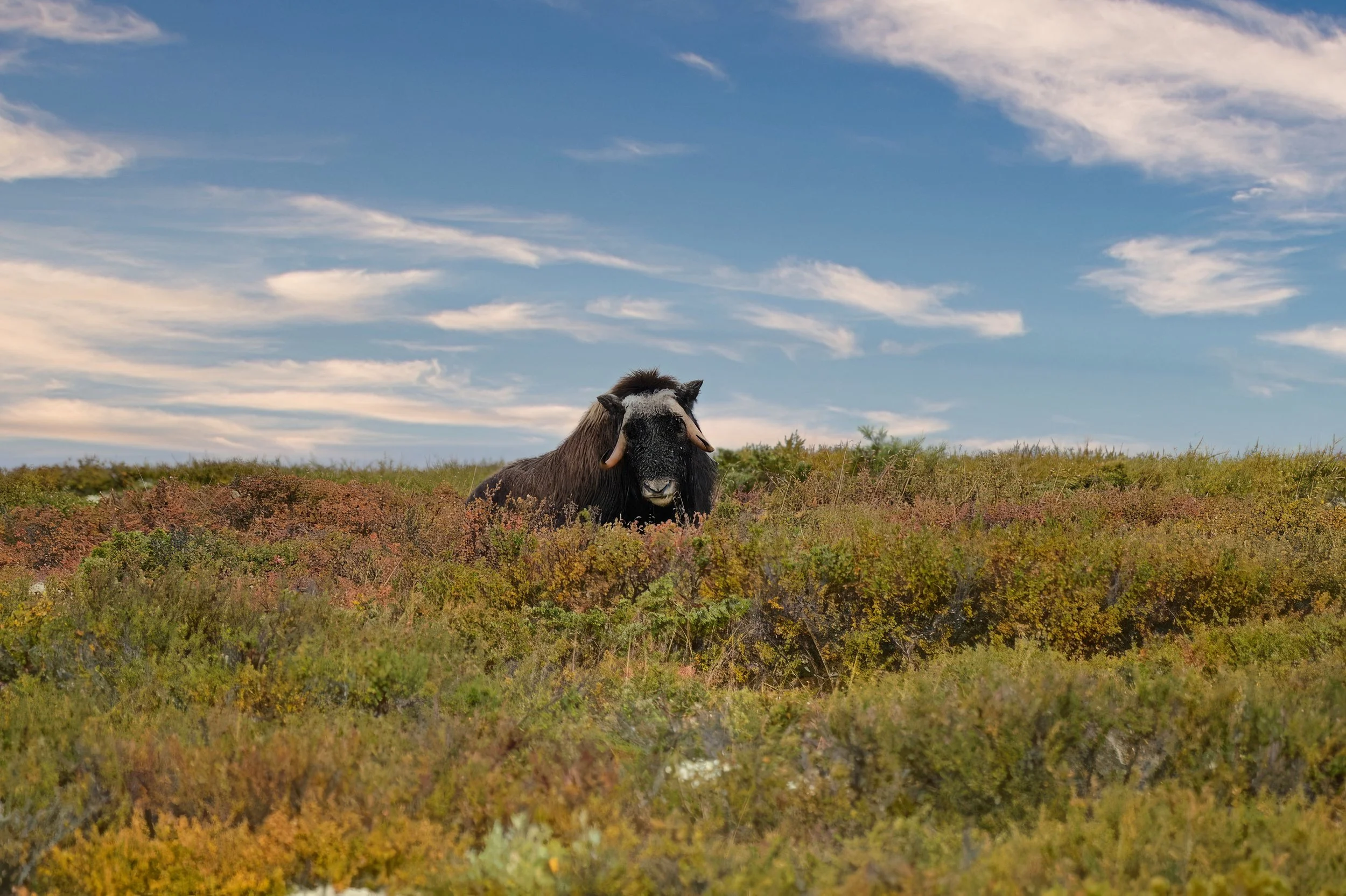 _GGD1861-topaz-upscale-3.2x - Kopie.jpg