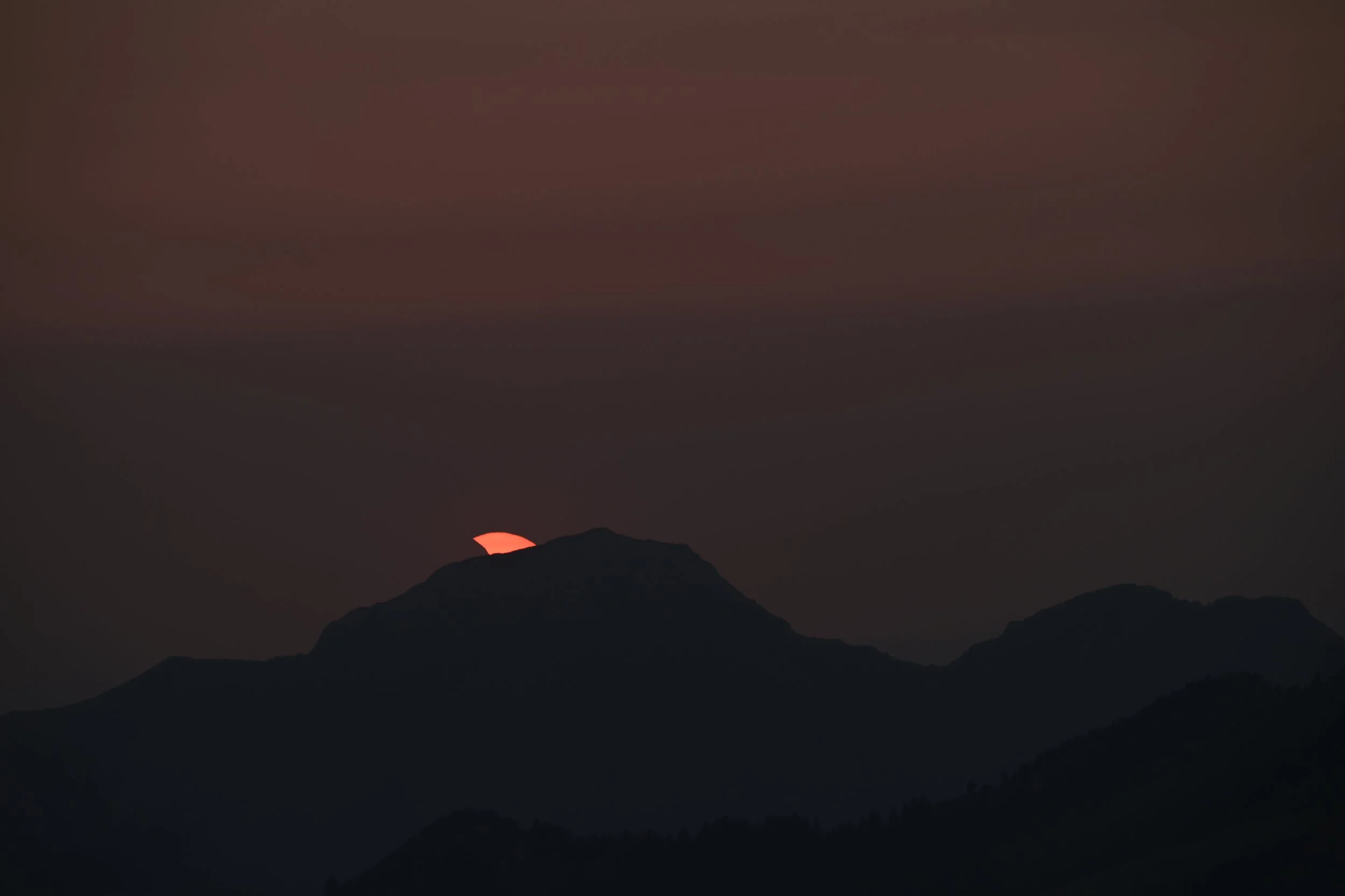 ZFG_6029.JPG