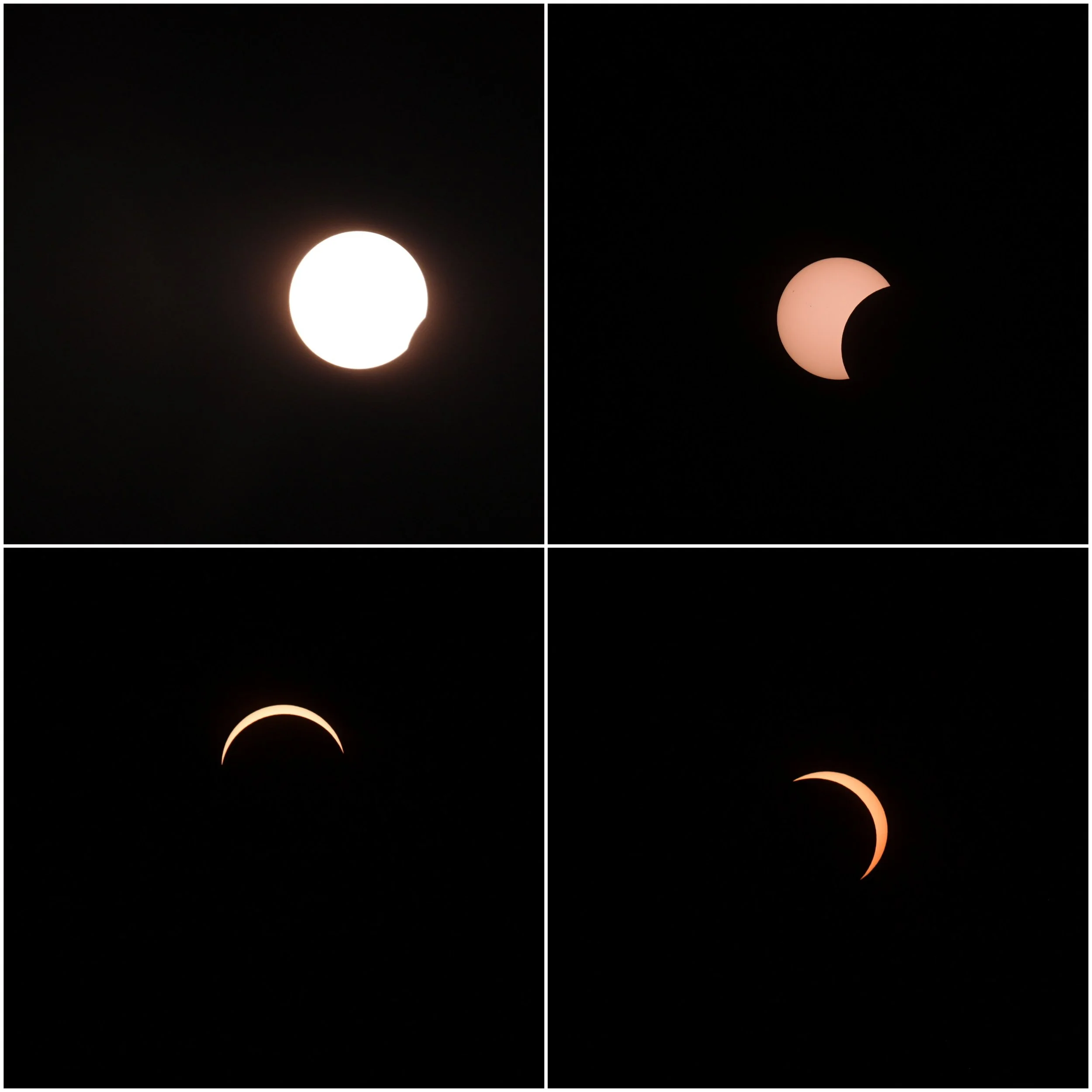 20260815_193646-COLLAGE.jpg