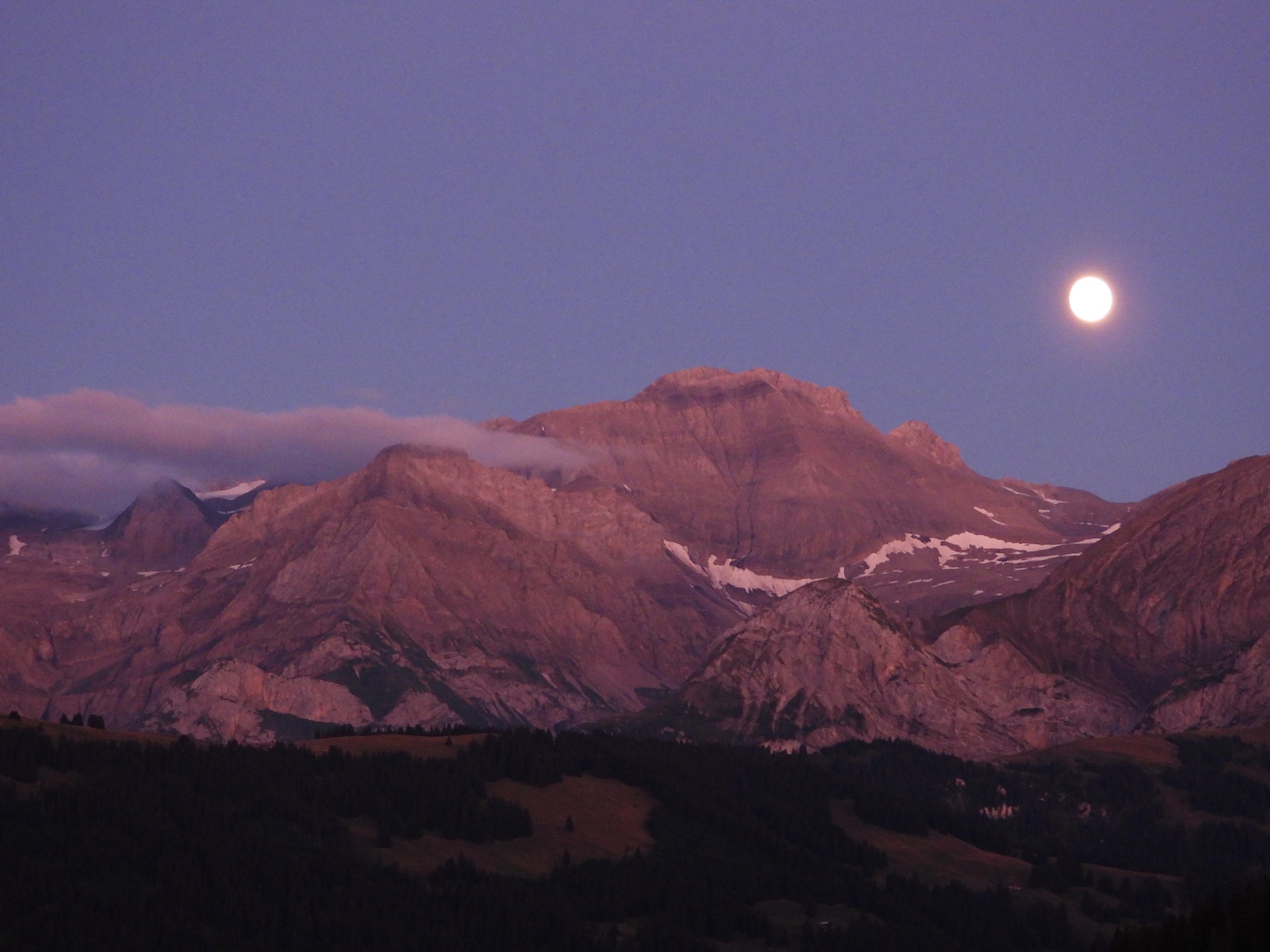 DSCN3517.JPG