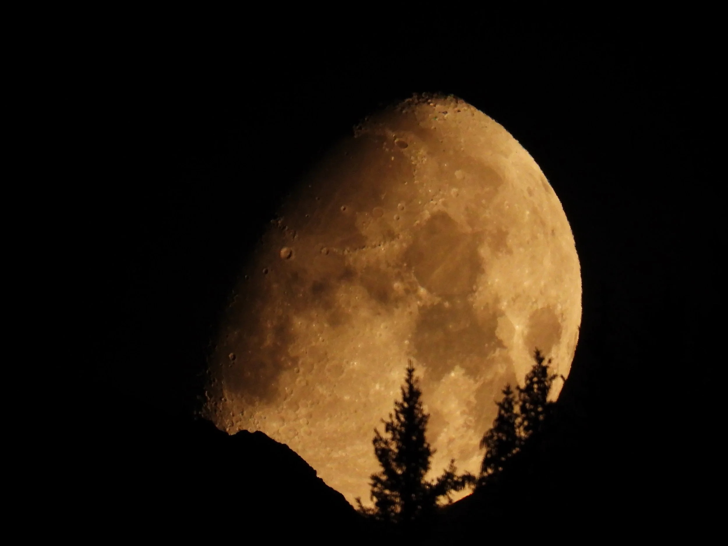 DSCN4153.JPG