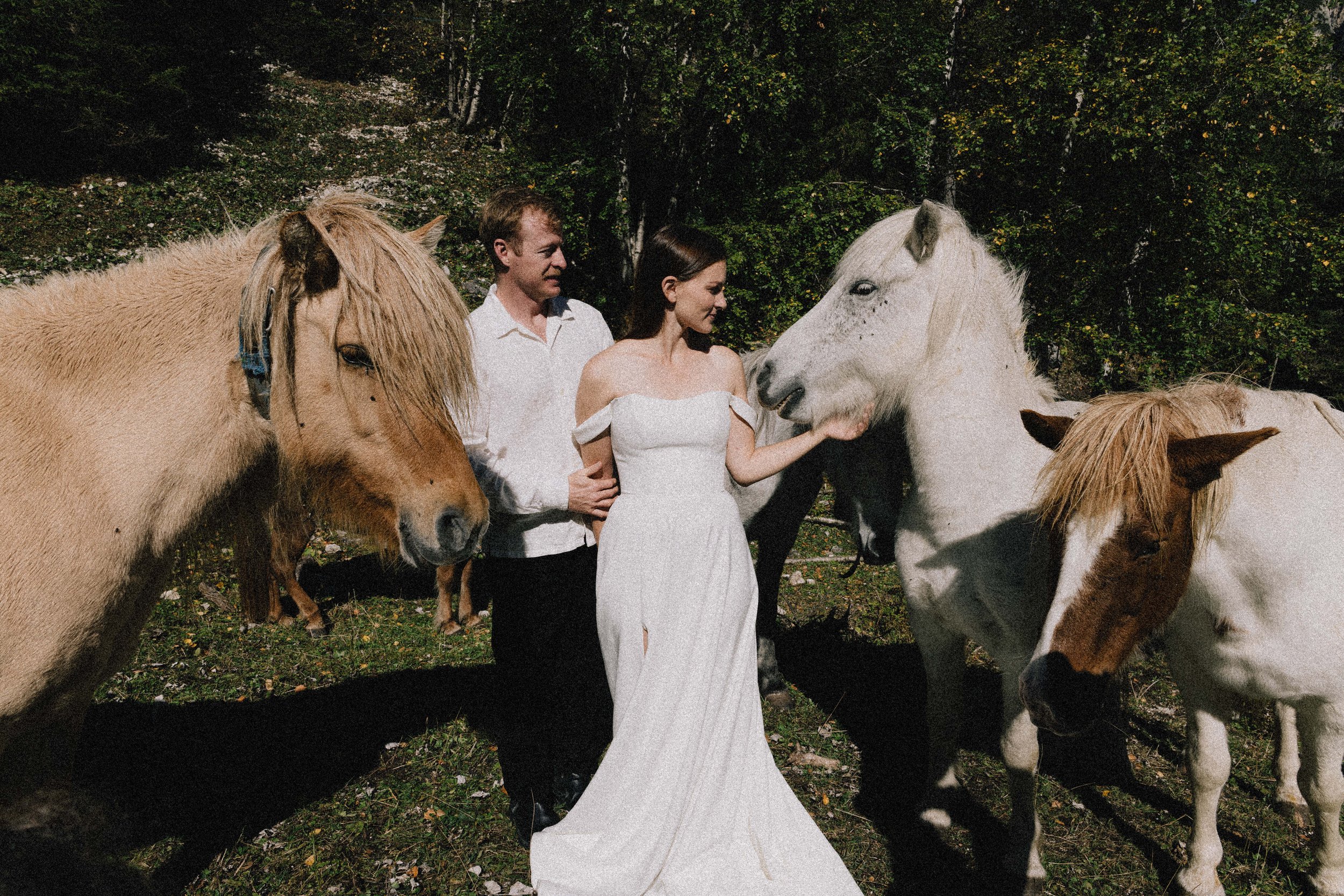 A woman in a white dress petting a white horse, standing next to a man in a white shirt, with two other horses nearby in a wooded outdoor setting.