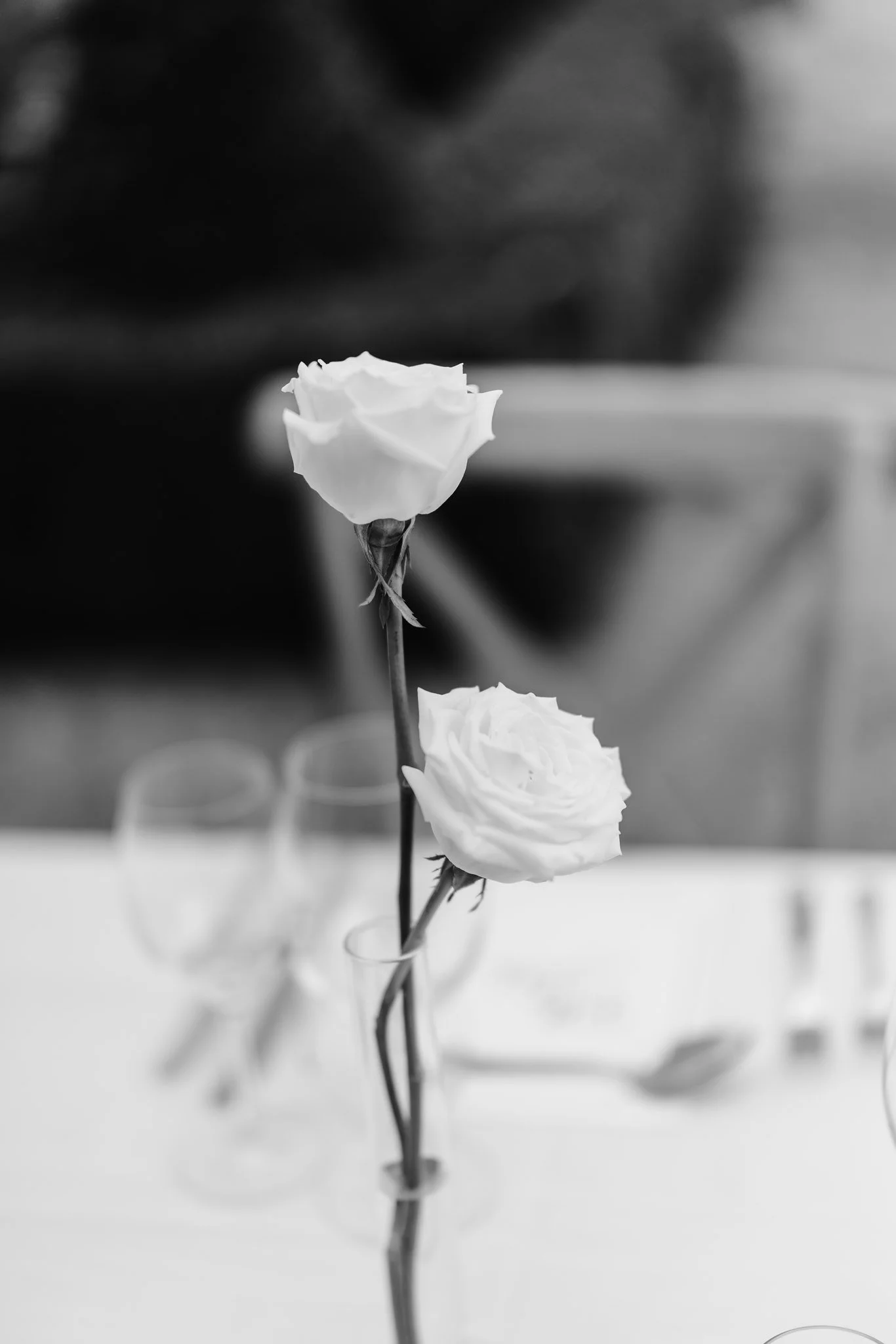 lkjonesphototography-100_websize 2.JPG