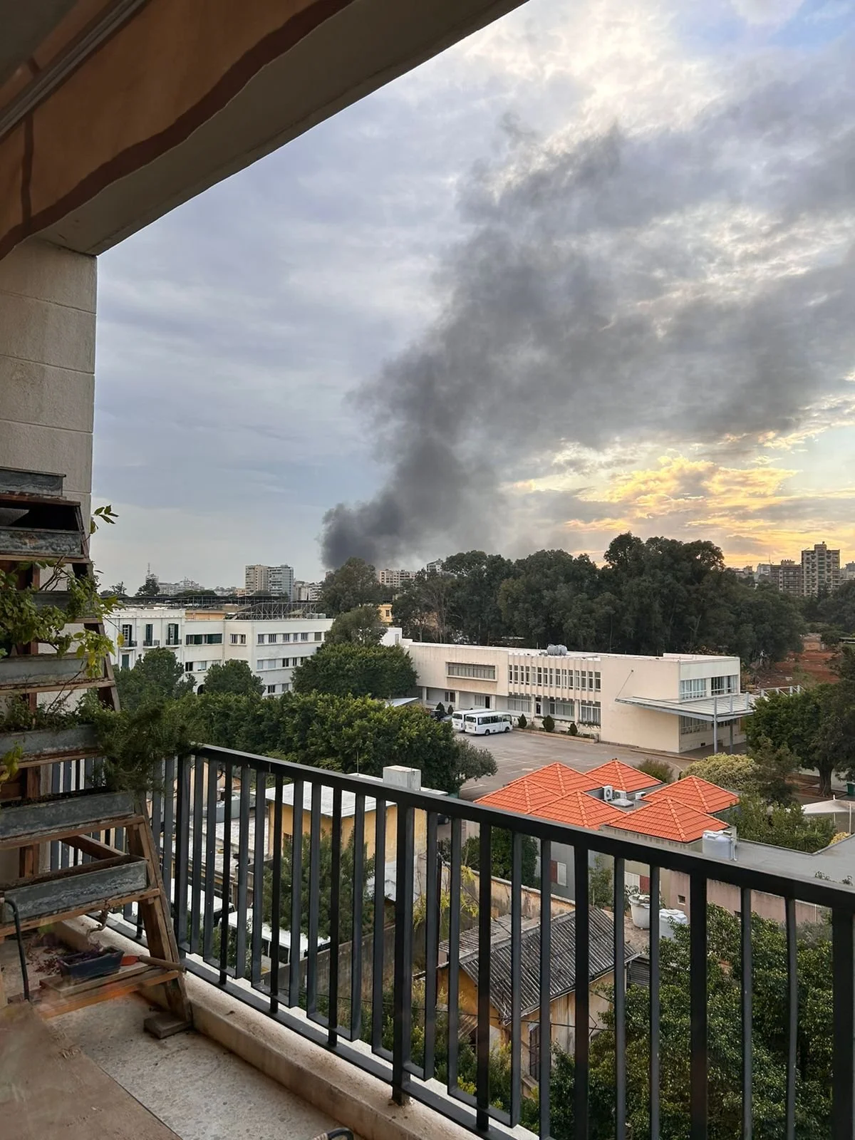 WhatsApp Image 2025-08-22 at 11.04.09 (1).jpeg