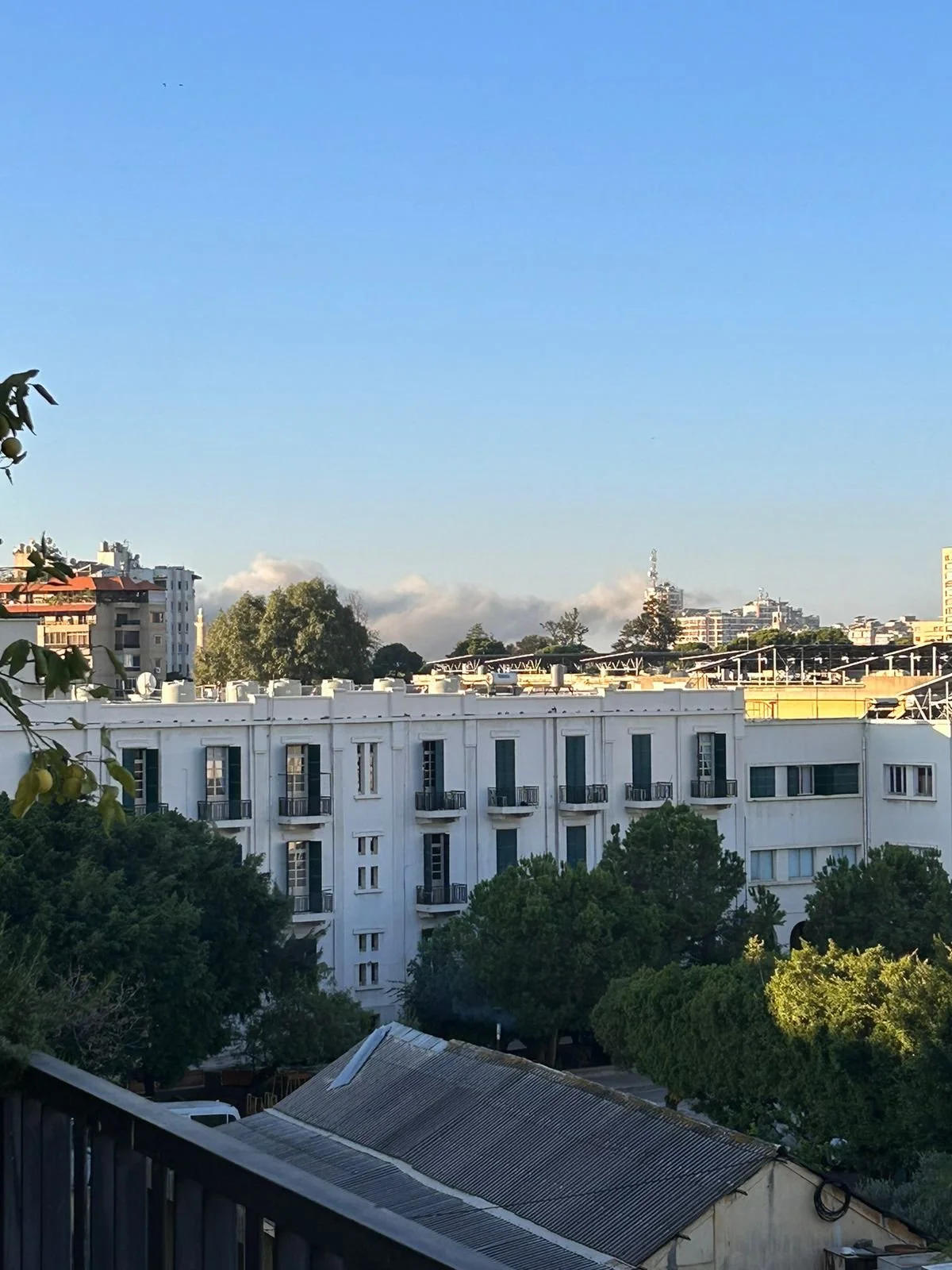 WhatsApp Image 2025-08-22 at 11.04.08 (1).jpeg