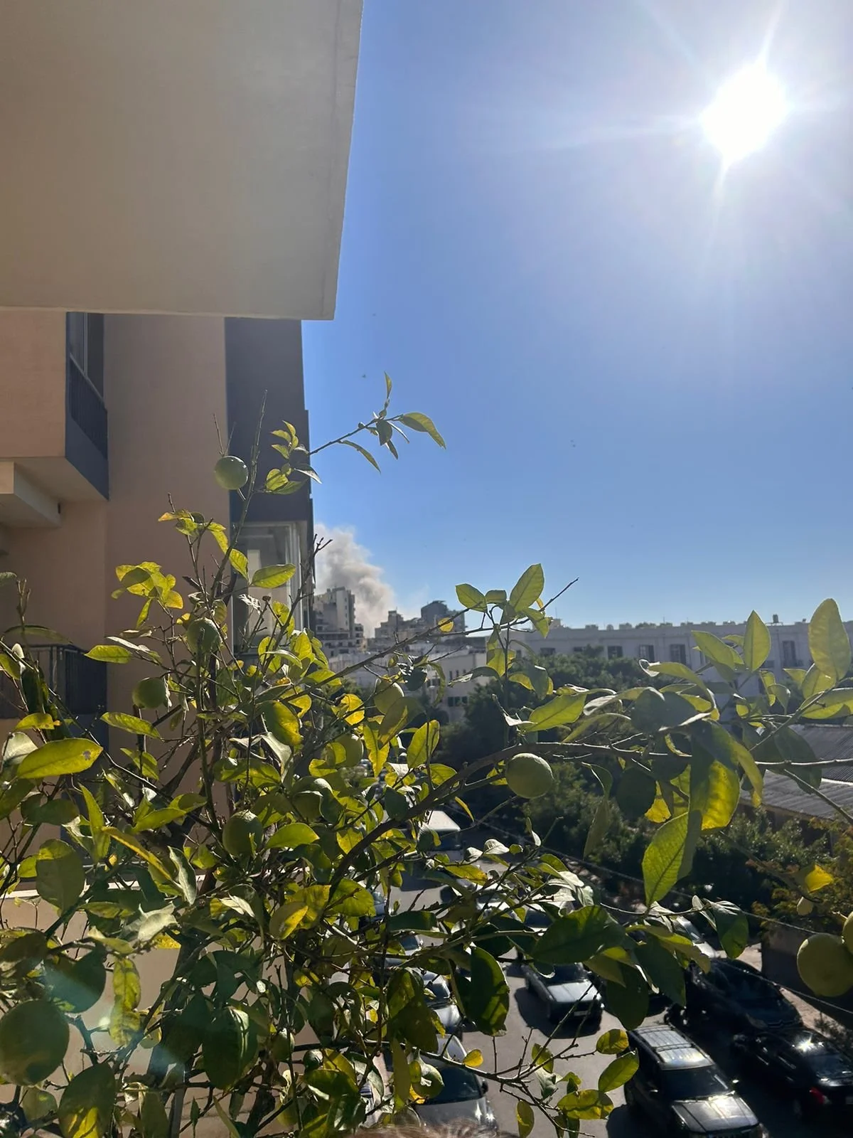 WhatsApp Image 2025-08-22 at 11.04.07 (2).jpeg