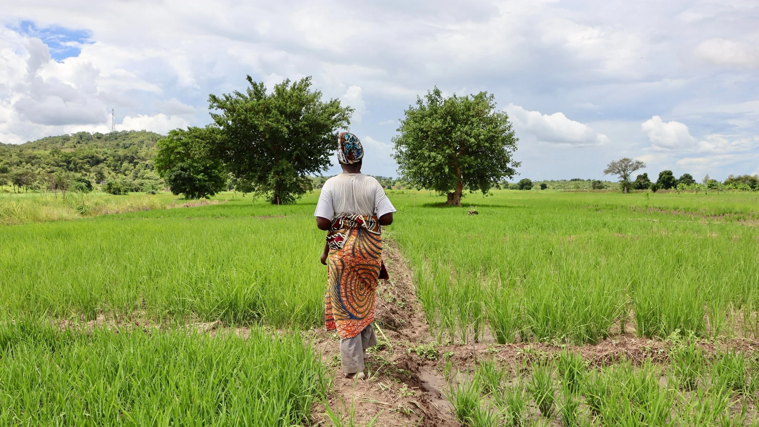 Rekordstore tildelinger til satsing på matsikkerhet i Afrika